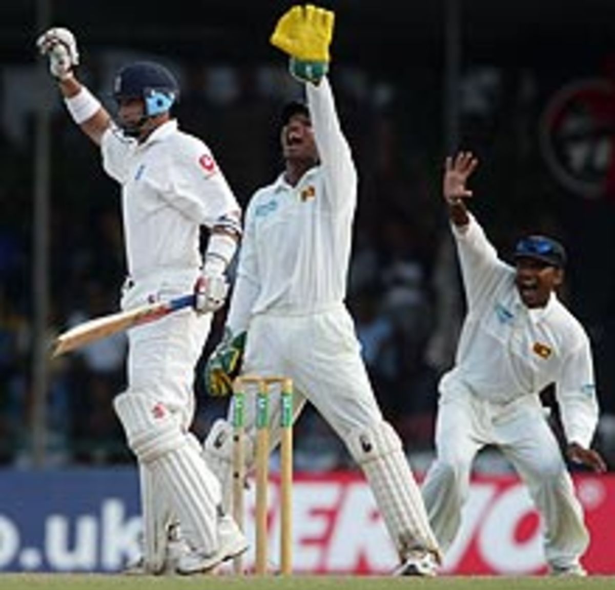 Hands Up Nasser Hussain Survives An Appeal Espncricinfo Hands Up Nasser Hussain Survives An Appeal Espncricinfo