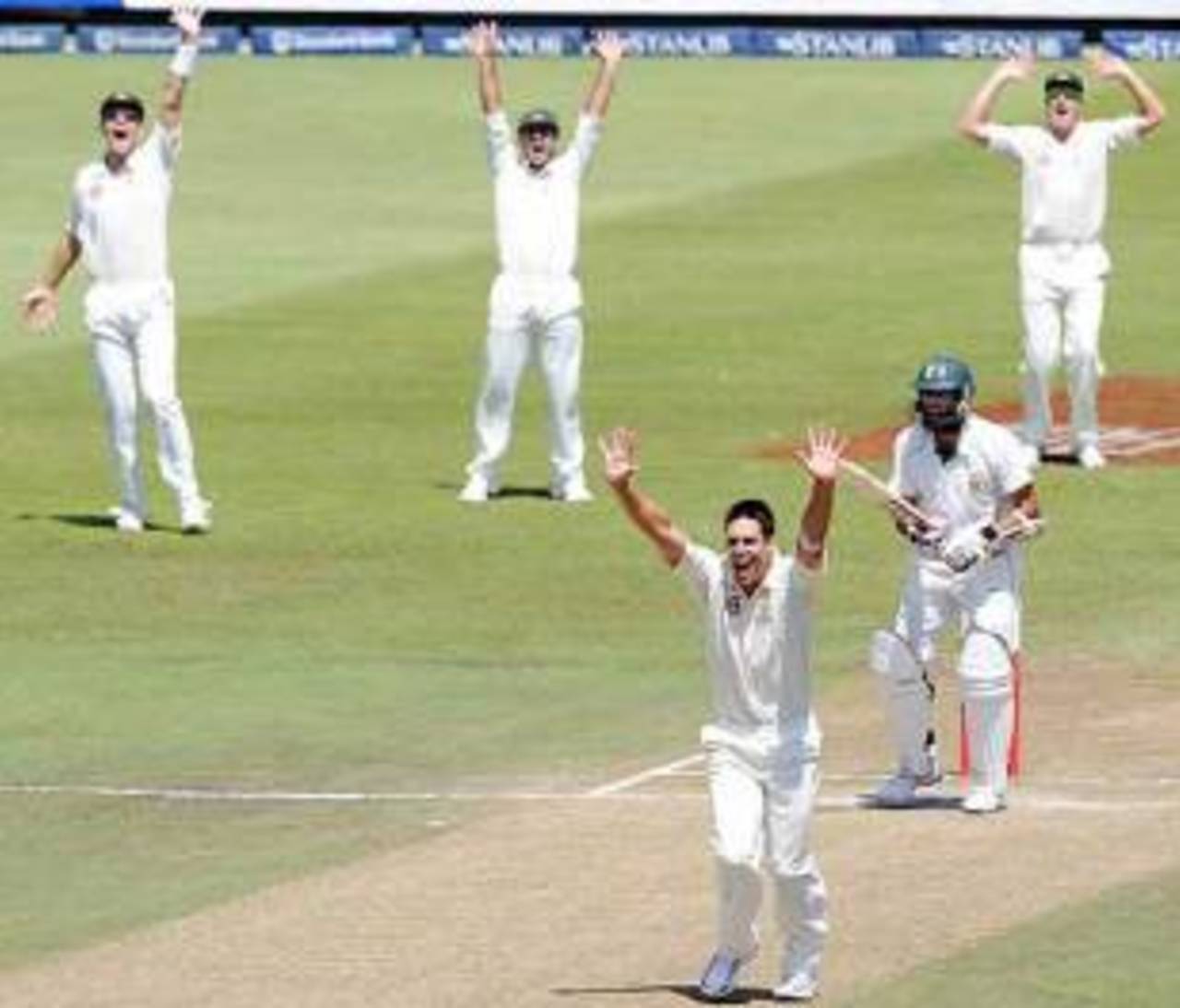 Mitchell Johnson successfully appeals against Hashim Amla, South Africa v Australia, 2nd Test, Durban, 2nd day, March 7, 2009