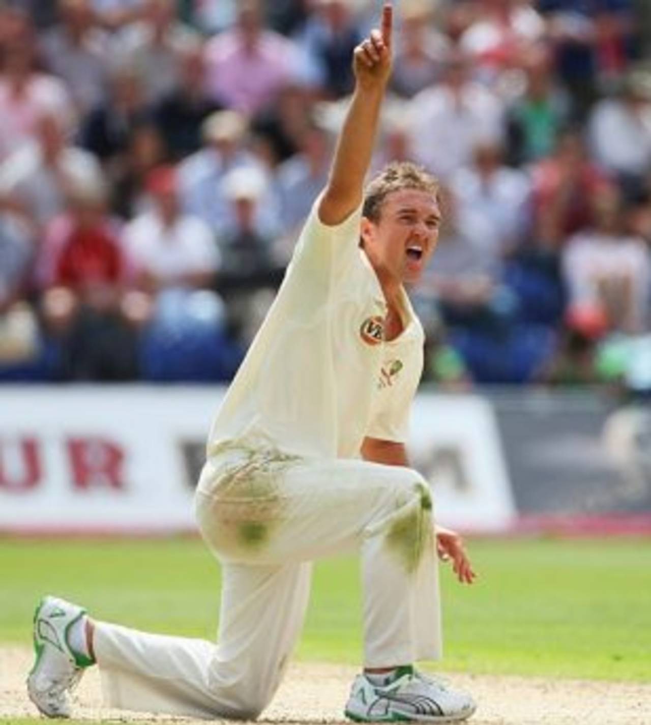 Nathan Hauritz appeals, England v Australia, 1st Test, Cardiff, 1st day, July 8, 2009