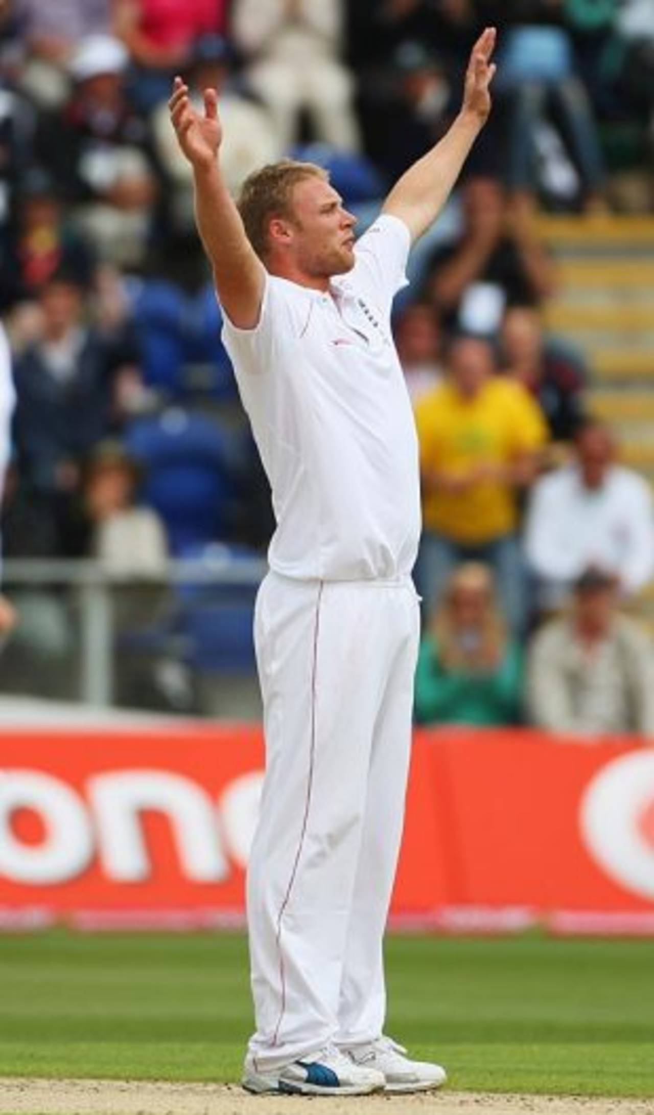 Andrew Flintoff celebrates Phillip Hughes' wicket, England v Australia, 1st Test, Cardiff, 2nd day, July 9, 2009