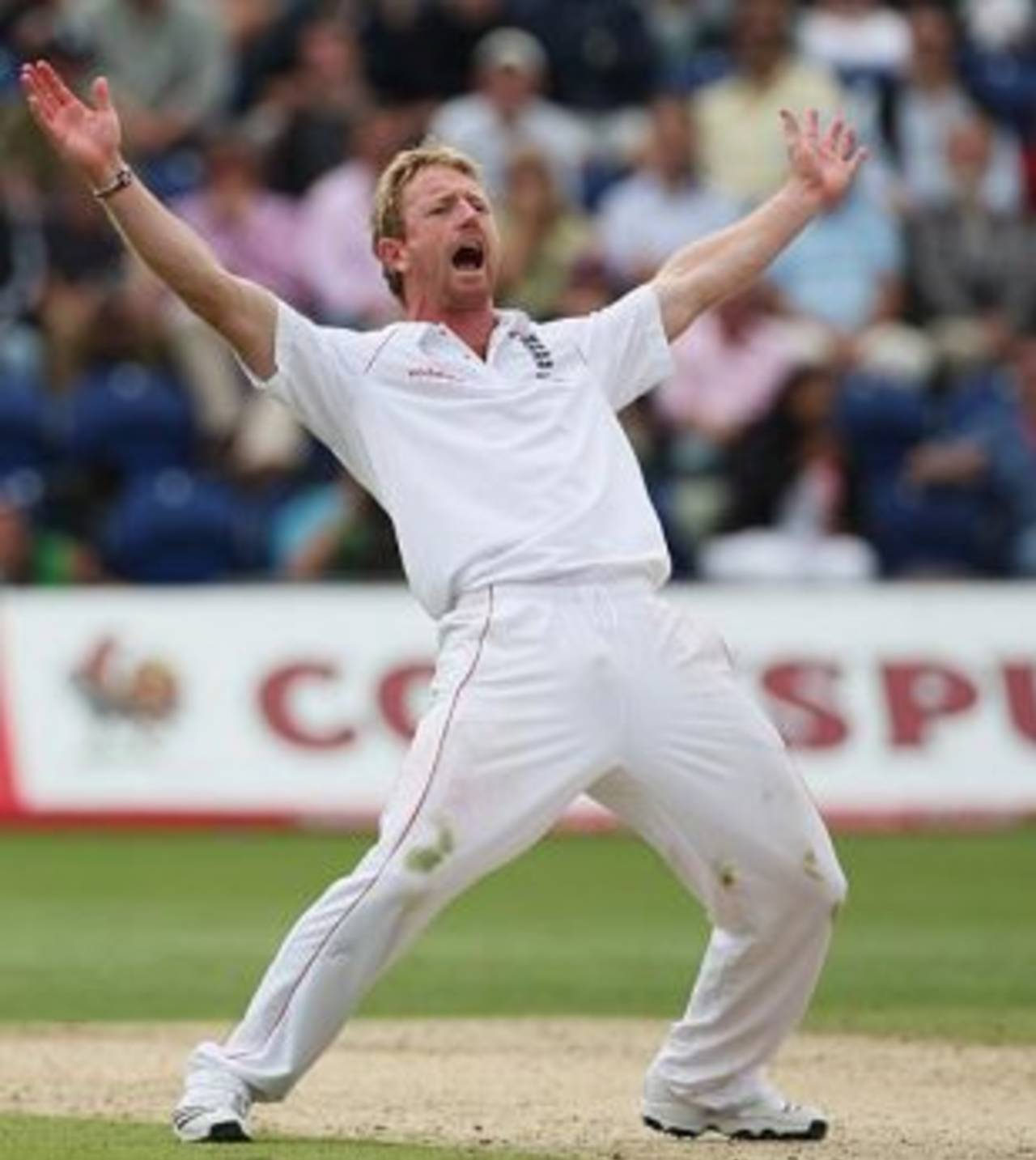Paul Collingwood appeals, England v Australia, 1st Test, Cardiff, 3rd day, July 10, 2009