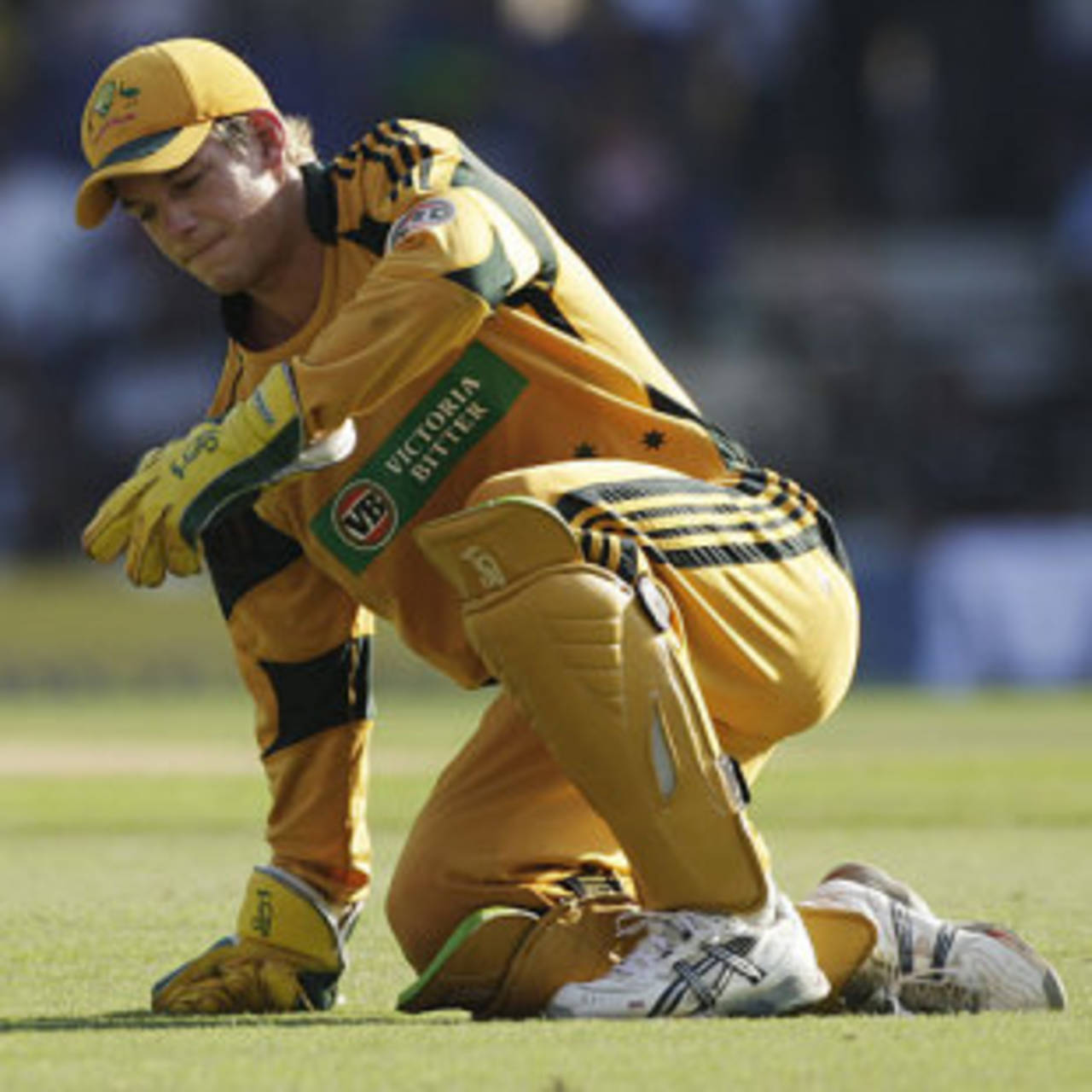 Tim Paine appears to be in discomfort, India v Australia, 2nd ODI, Nagpur, October 28, 2009