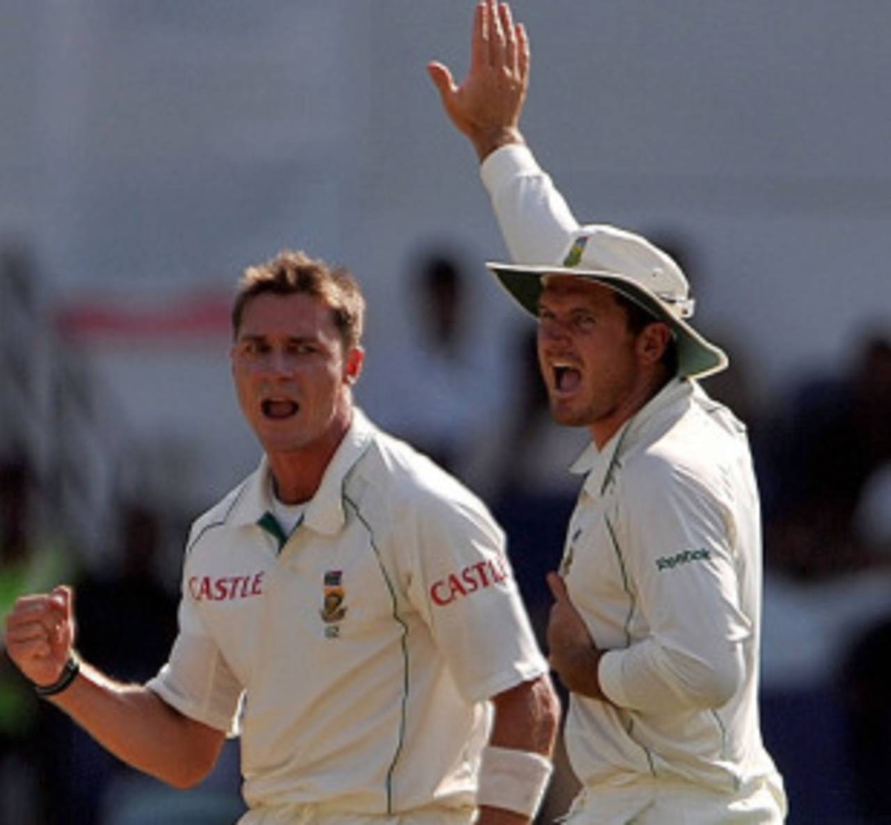 Dale Steyn and Graeme Smith appeal for a wicket, India v South Africa, 1st Test, Nagpur, 3rd day, February 8, 2010