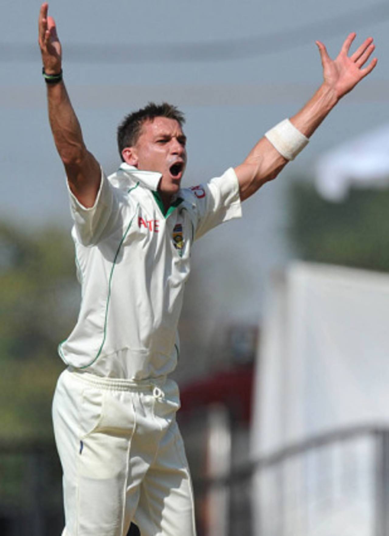 Dale Steyn appeals successfully for an lbw against Harbhajan Singh, India v South Africa, 1st Test, Nagpur, 3rd day, February 8, 2010