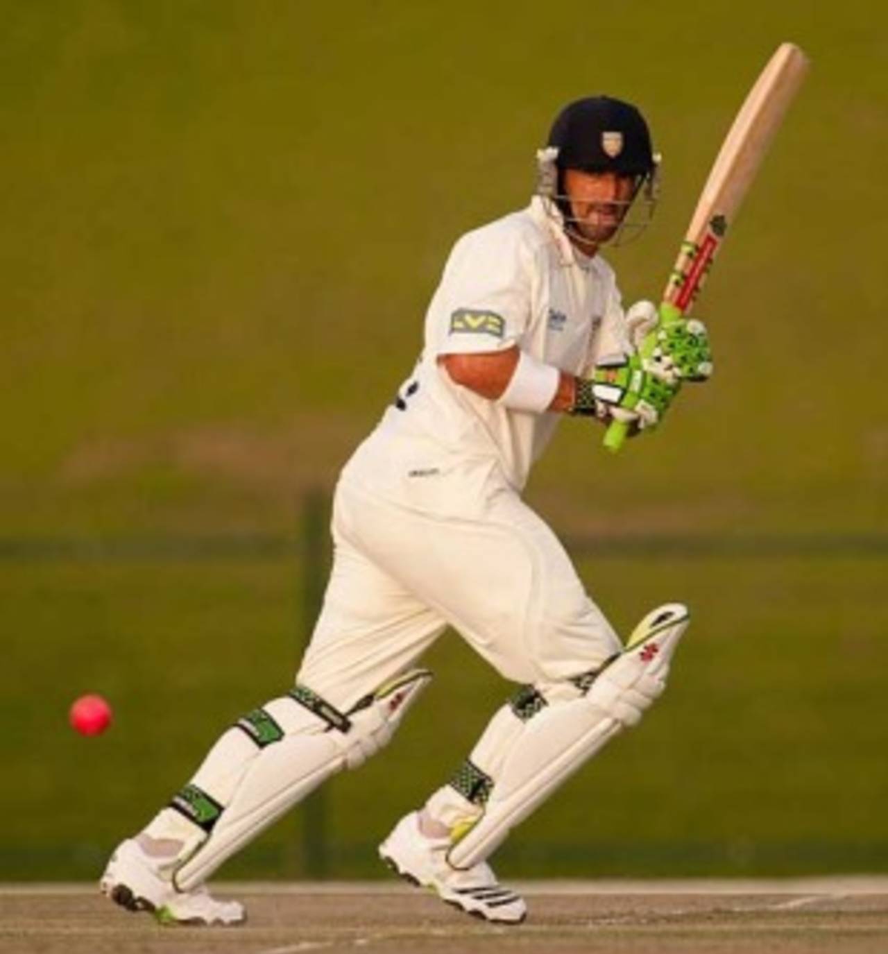 Australia's batting coach Michael di Venuto scored a century with a pink ball under lights in 2010 and said at the time it was "easy to pick up"&nbsp;&nbsp;&bull;&nbsp;&nbsp;PA Photos