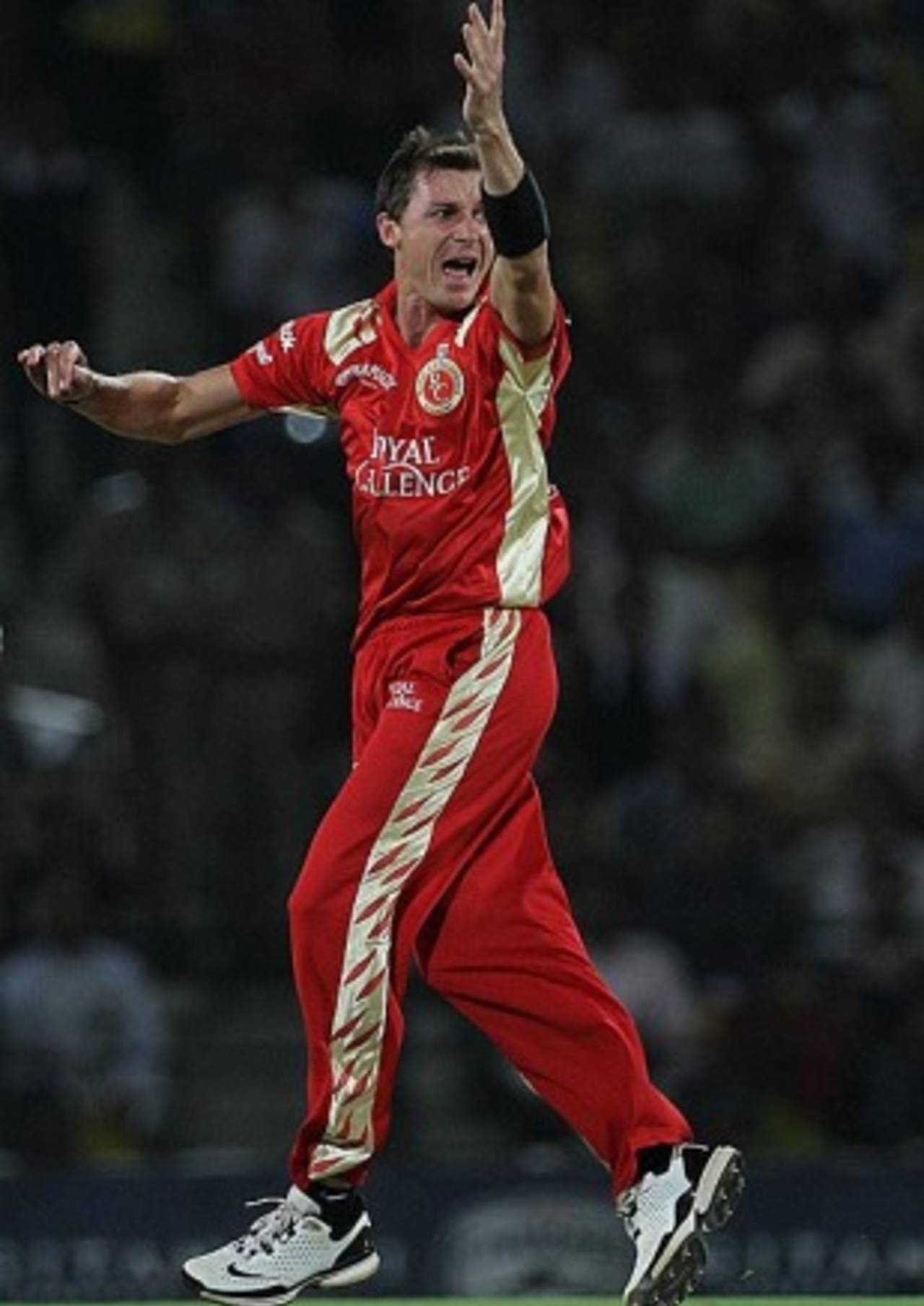 Dale Steyn picked up three early wickets, Deccan Chargers v Royal Challengers Bangalore, IPL, Nagpur, April 12, 2010