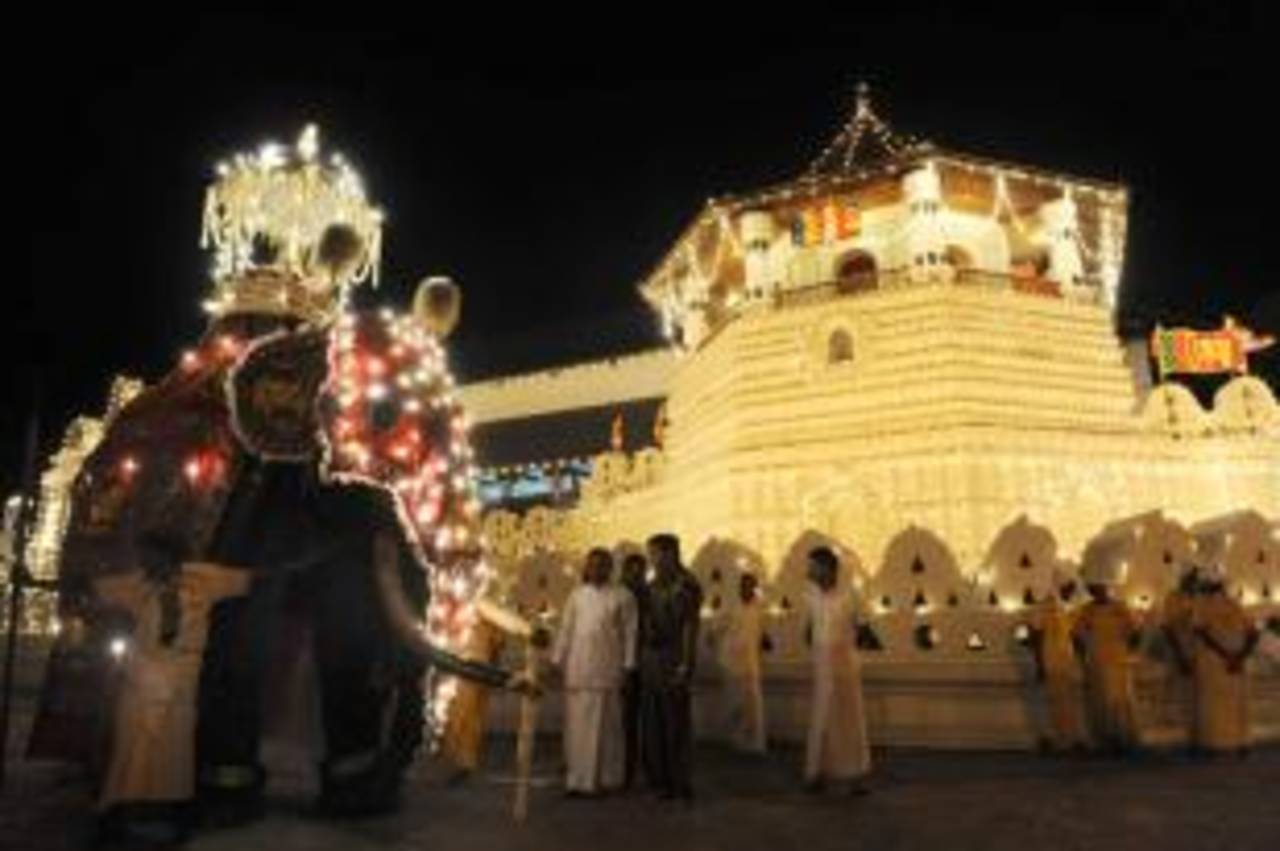 An elephant carries the tooth relic of Lord Buddha, outside the Temple of the Tooth, Kandy, August 24, 2010

