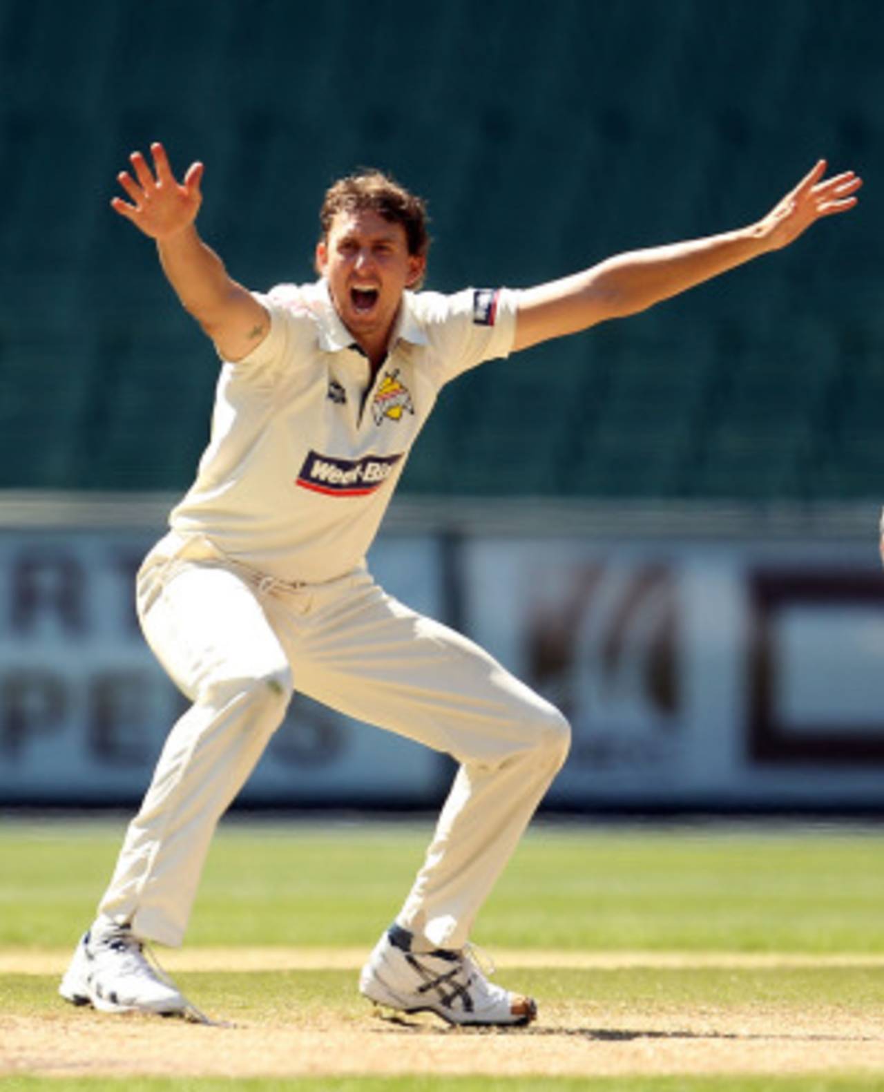 Brett Dorey took three wickets to help Western Australia to victory, Victoria v Western Australia, Sheffield Shield, MCG, November 20, 2010