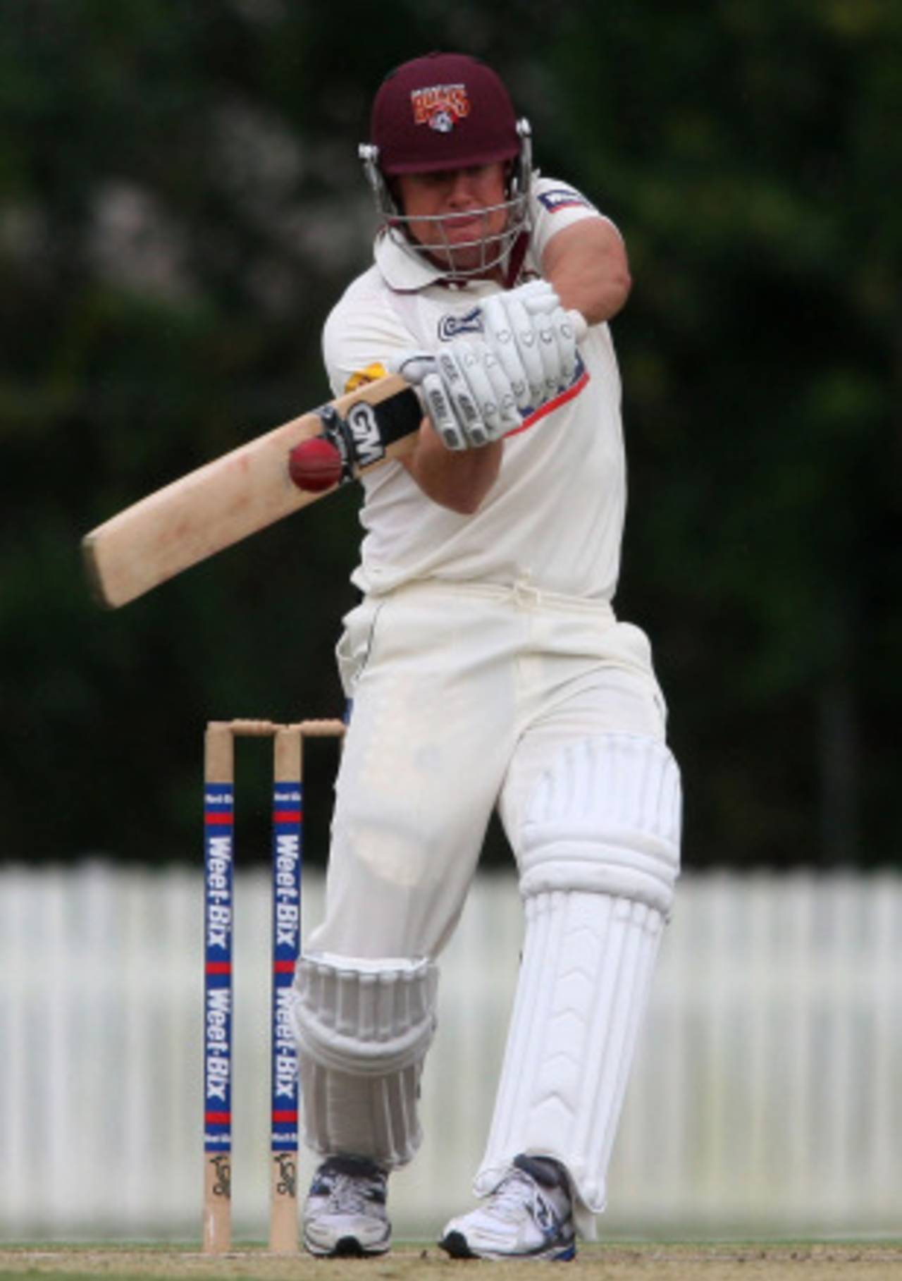 James Hopes pulls on his way to 30, Queensland v South Australia, Sheffield Shield, 2nd day, November 18, 2010