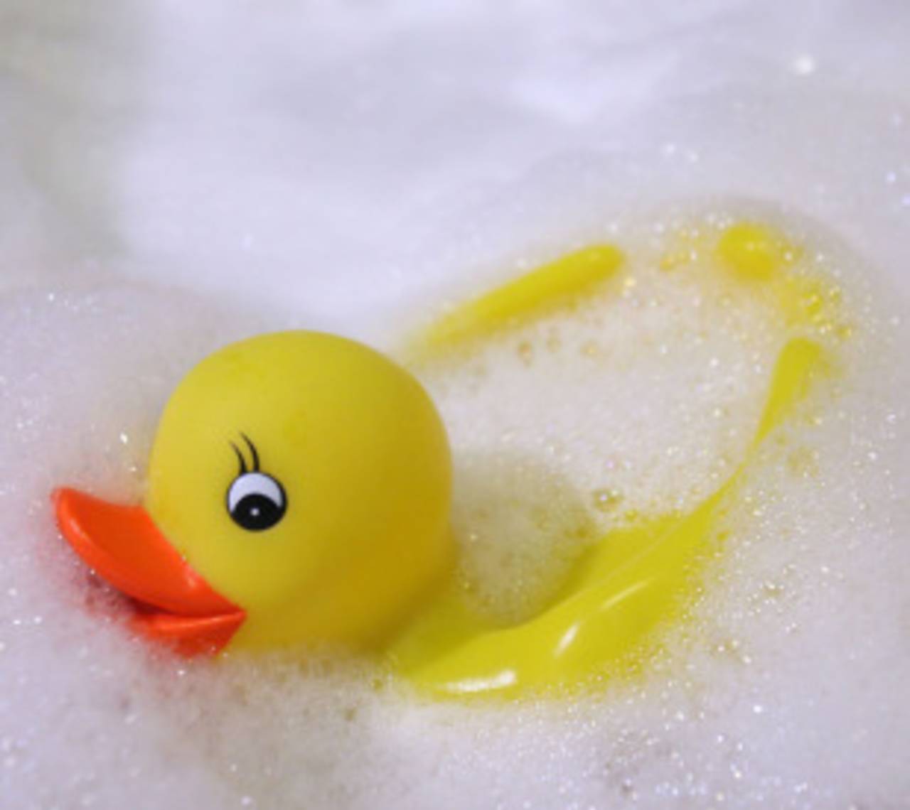 A rubber duck