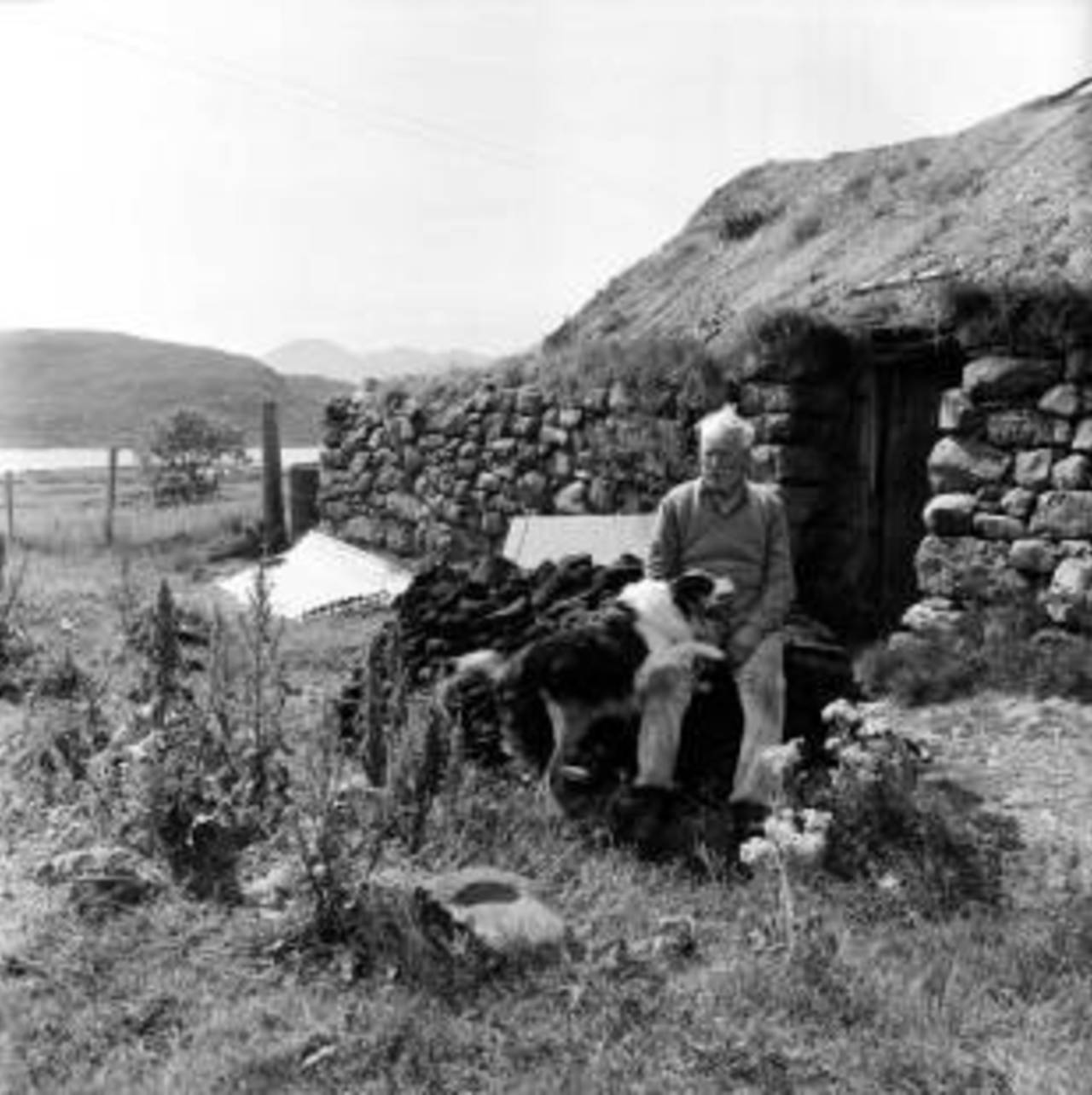 An old man and his dog