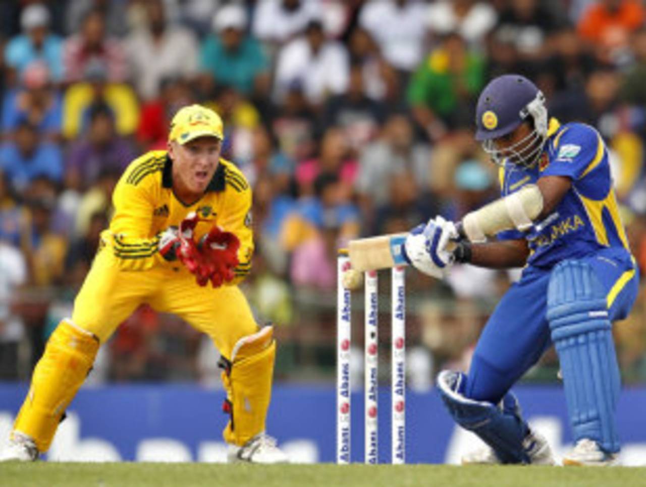 Brad Haddin has said he is not unduly pressurised ahead of the tour match against Mahela Jayawardene's Sri Lankans&nbsp;&nbsp;&bull;&nbsp;&nbsp;Associated Press