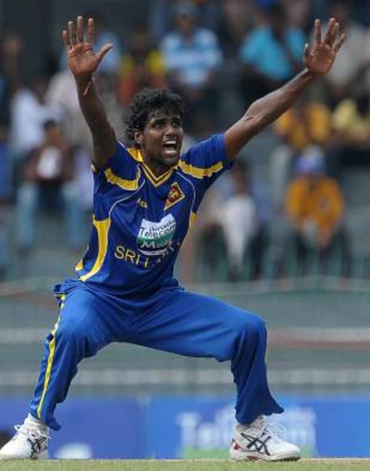 Shaminda Eranga lets out a huge appeal, Sri Lanka v Australia, 5th ODI, Colombo, August 22, 2011