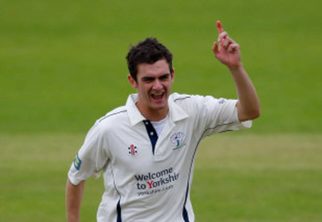 David Wainwright celebrates a wicket, Somerset v Yorkshire, Taunton, May 19, 2010