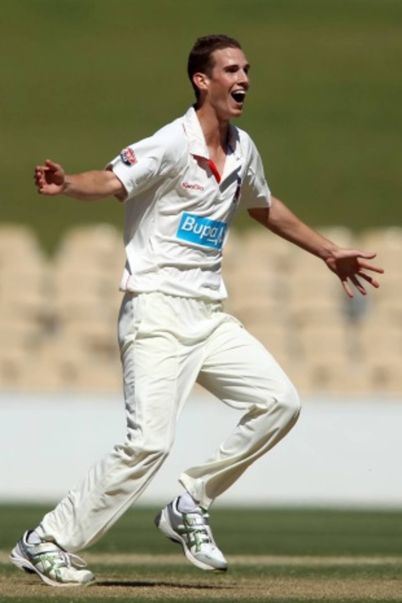 Peter George celebrates the wicket of Phillip Hughes, South Australia v New South Wales, Sheffield Shield, day two, Adelaide Oval, October 18