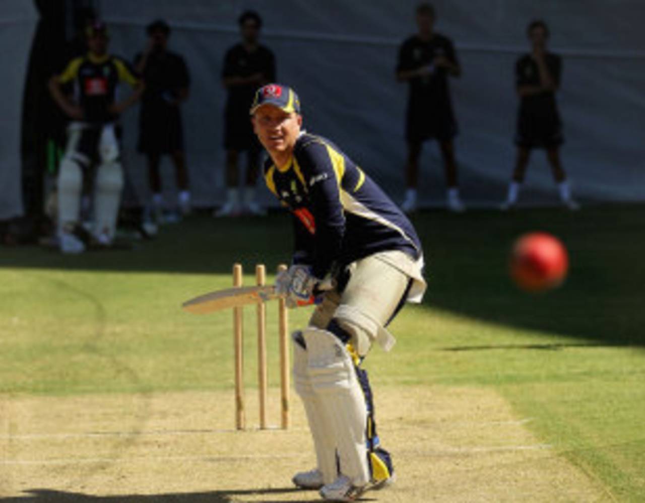 Brad Haddin has a bat in the nets, Adelaide, January 23, 2012