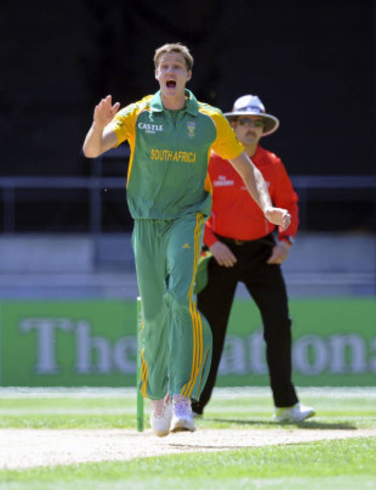 Morne Morkel celebrates a wicket, New Zealand v South Africa, 1st ODI , Wellington, February 25, 2012