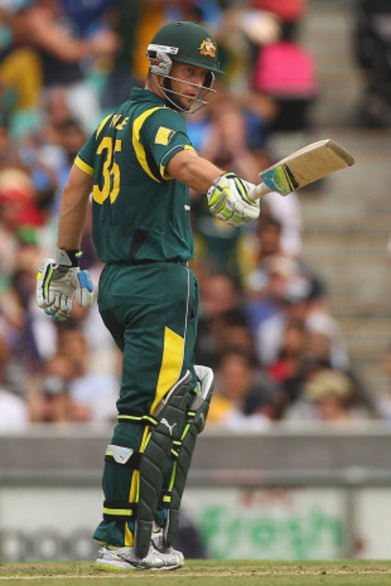 Matthew Wade celebrates his fifty, Australia v India, CB Series, Sydney, February 26, 2012
