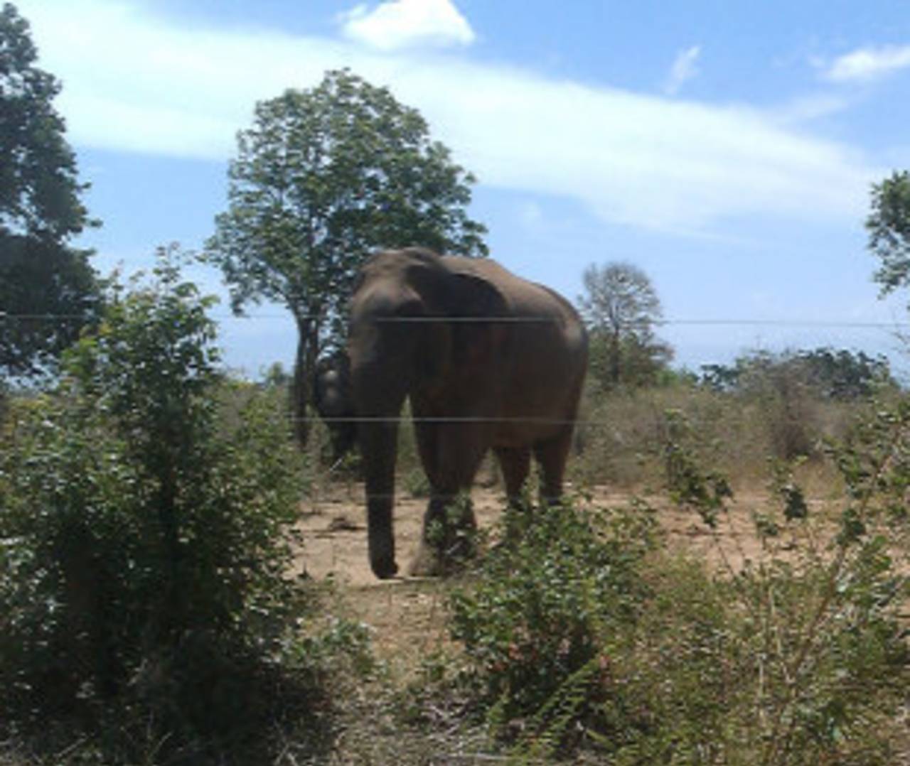 Hambantota: your chance to mix cricket with an elephant safari in the countryside&nbsp;&nbsp;&bull;&nbsp;&nbsp;ESPNcricinfo Ltd