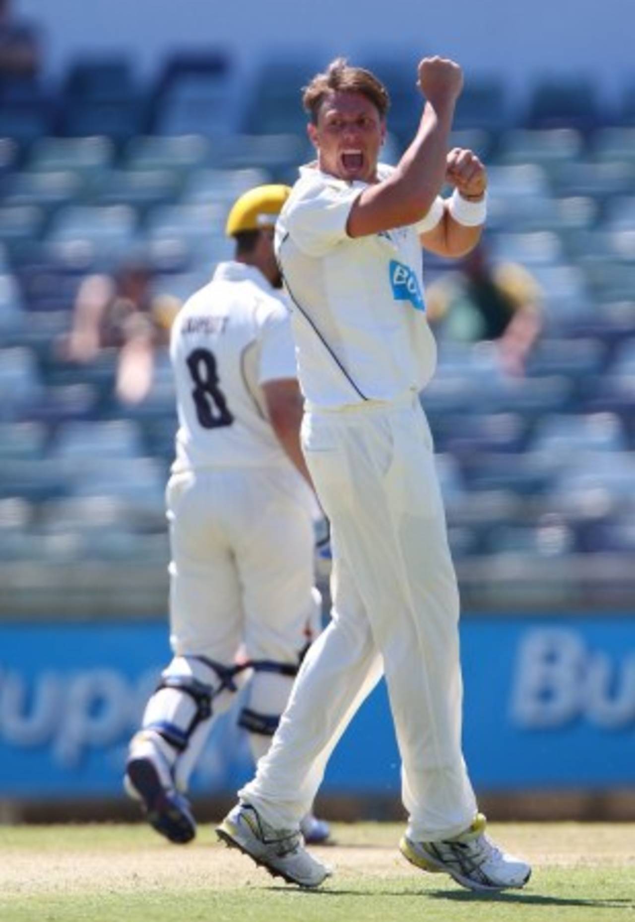 James Pattinson celebrates a wicket, Western Australia v Victoria, Sheffield Shield, Perth, 1st day, September 30, 2012