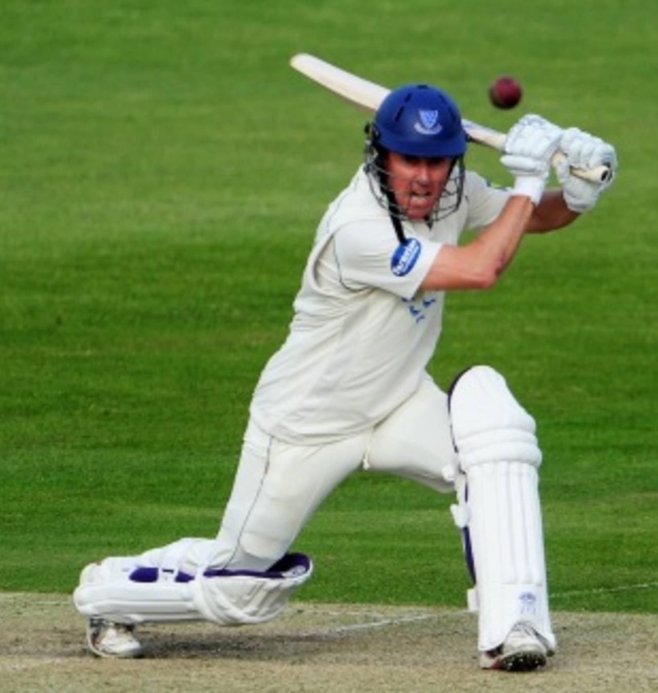 Murray Goodwin was released by Sussex at the end of the 2012 season&nbsp;&nbsp;&bull;&nbsp;&nbsp;Getty Images