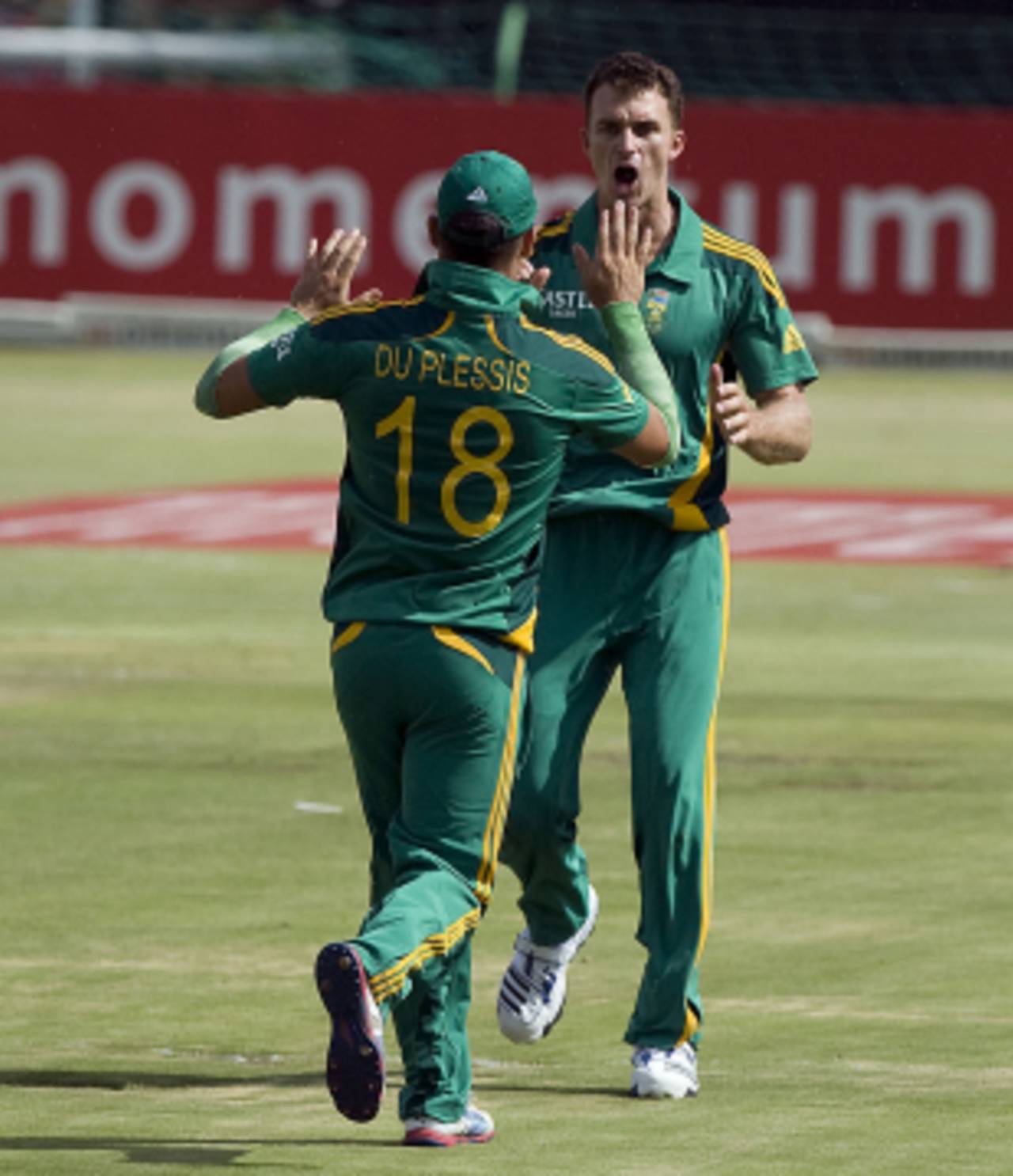 Ryan McLaren was South Africa's joint-highest wicket-taker with four scalps, South Africa v New Zealand, 3rd ODI, Potchefstroom, January 25, 2013