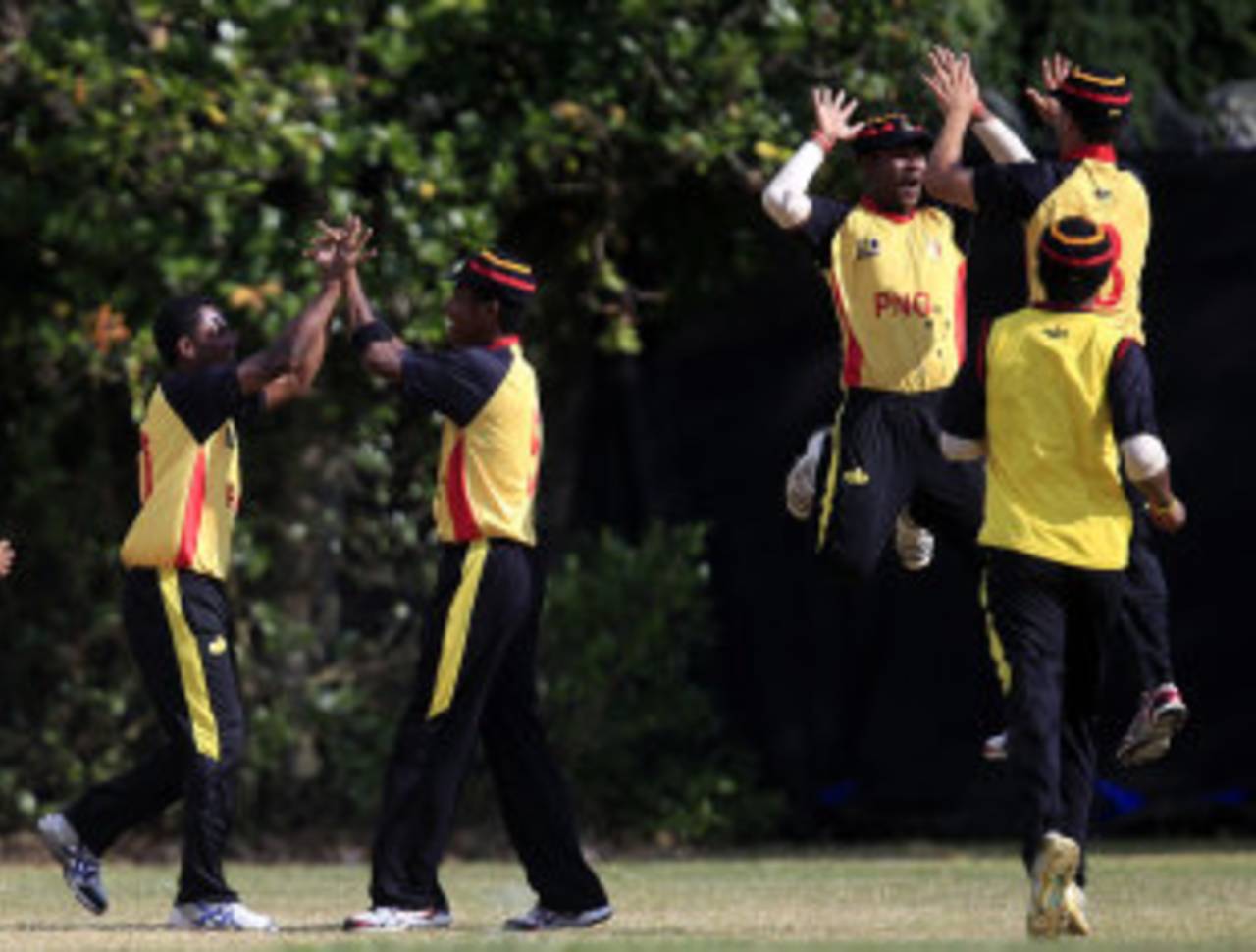 Papua New Guinea celebrate a wicket, Papua New Guinea v Vanuatu, ICC East Asia-Pacific Championship, Auckland, February, 2013