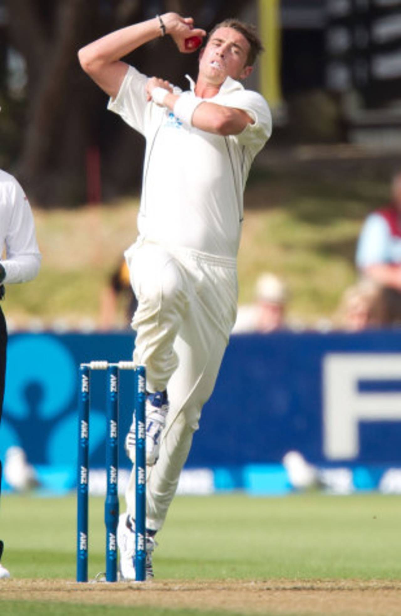 Tim Southee in his bowling stride, New Zealand v England, 2nd Test, Wellington, 1st day, March 14, 2013
