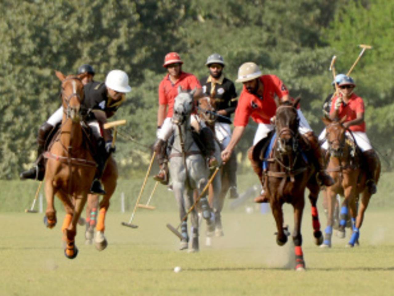 A game of polo at the Jaipur Polo Ground, New Delhi, March 9, 2013