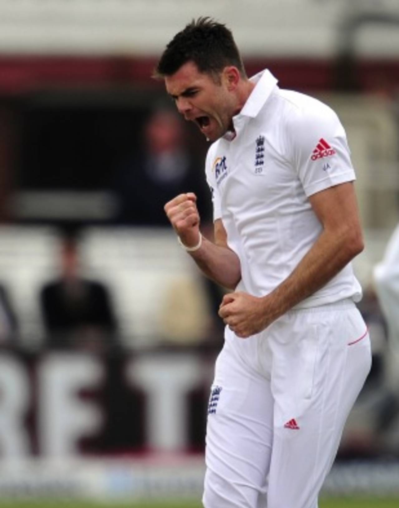 James Anderson celebrates his 300th wicket, England v New Zealand, 1st Investec Test, Lord's, 2nd day, May 17, 2013