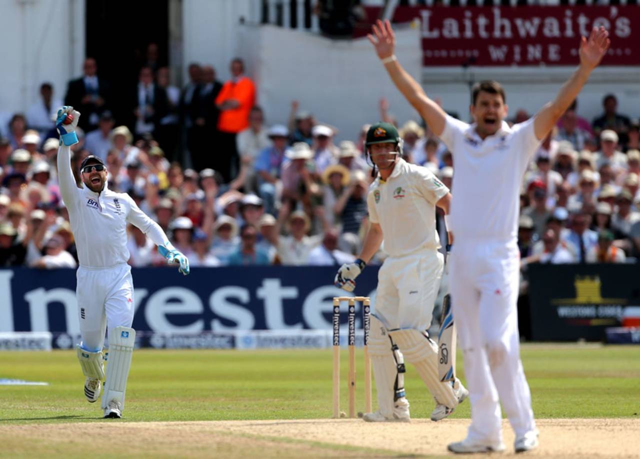 James Anderson and Matt Prior appeal to have Brad Haddin caught behind, England v Australia, 1st Investec Test, Trent Bridge, 5th day, July 14, 2013