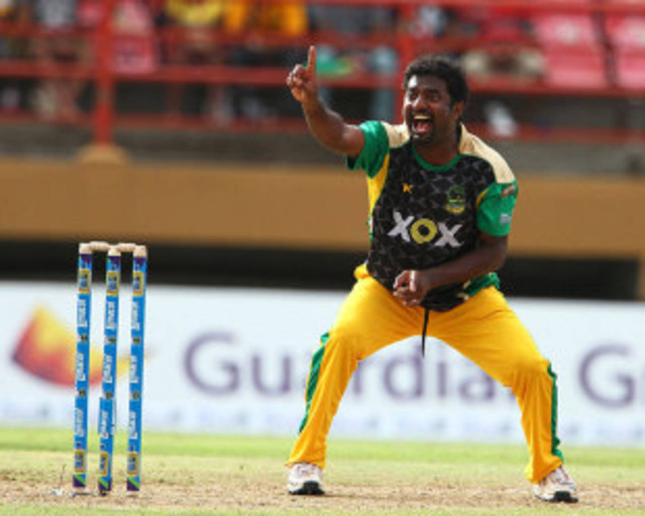 Muttiah Muralitharan picked up two wickets in an over, Antigua Hawksbills v Jamaica Tallawahs, Caribbean Premier League 2013, Providence, August 4, 2013