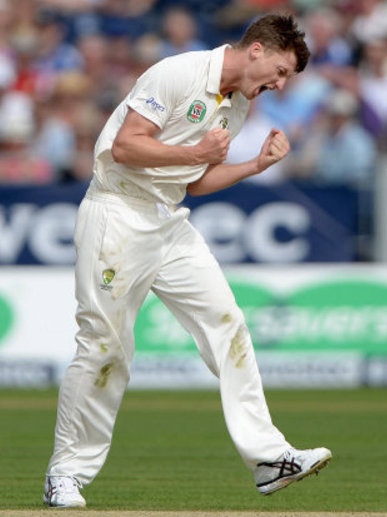 Jackson Bird celebrates after trapping Alastair Cook lbw, England v Australia, 4th Investec Ashes Test, Chester-le-Street, 1st day, August 9, 2013