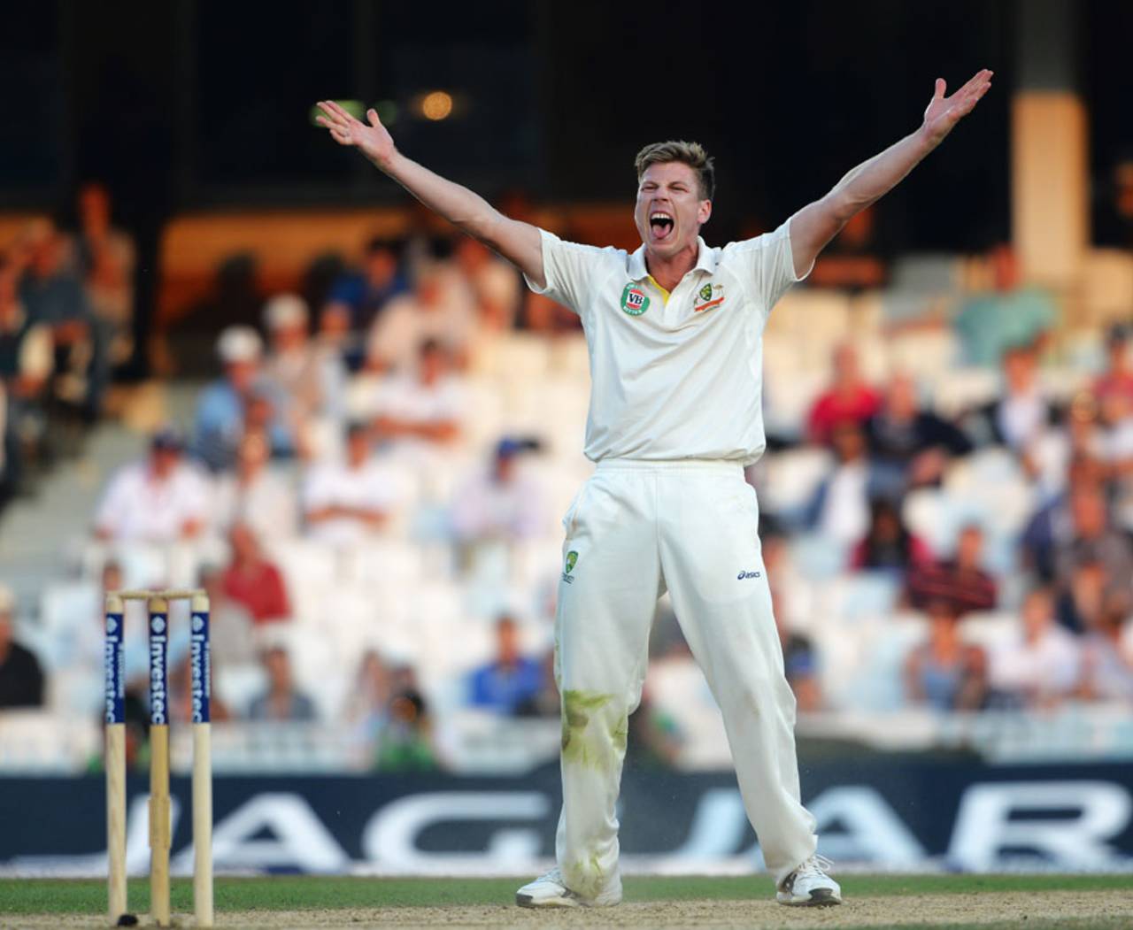 James Faulkner roars an appeal to have Jonathan Trott lbw, England v Australia, 5th Investec Test, The Oval, 5th day, August 25, 2013
