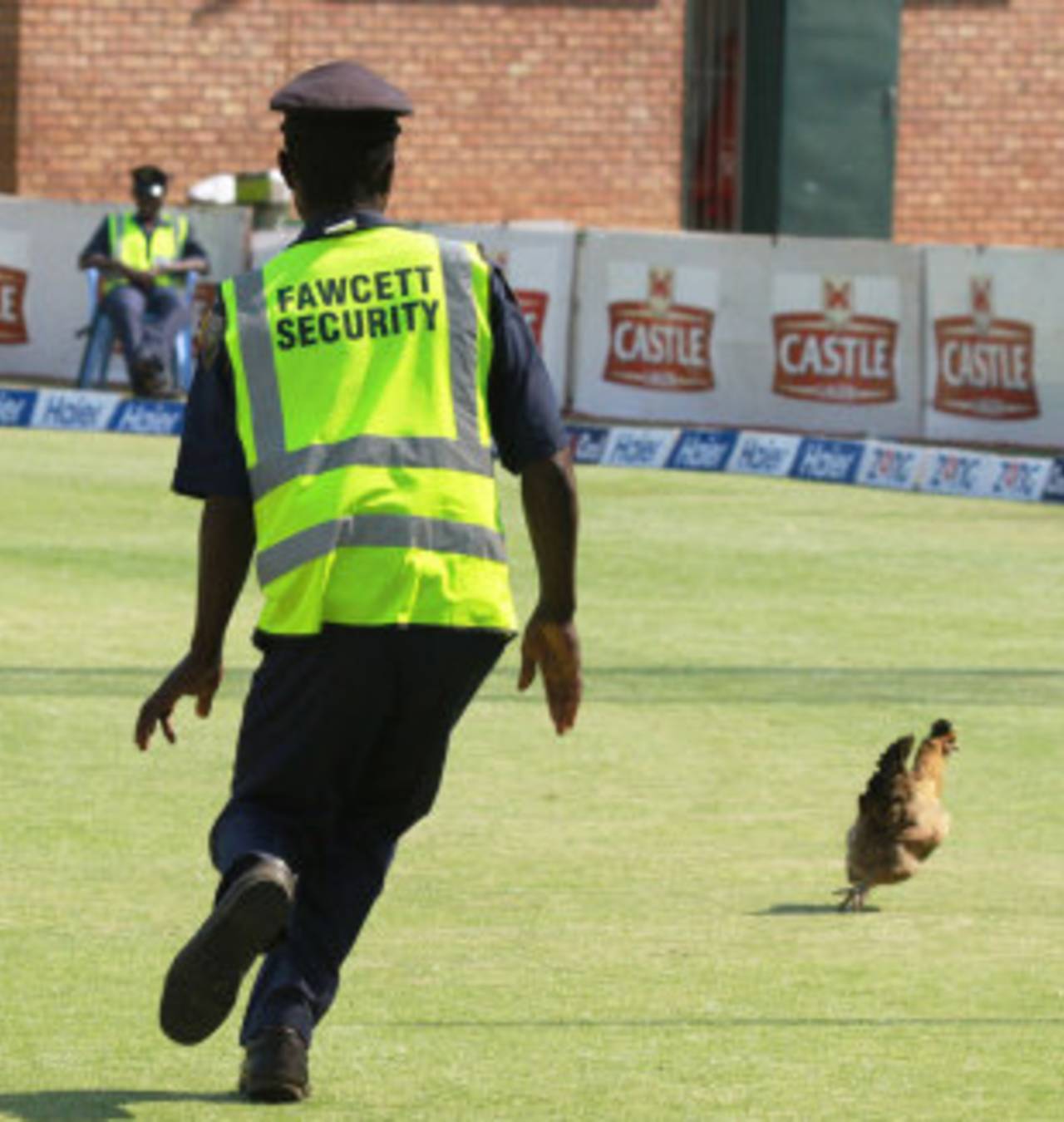 A security guard chases a chicken across the outfield, Zimbabwe v Pakistan, 2nd Test, Harare, 1st day, September 10, 2013