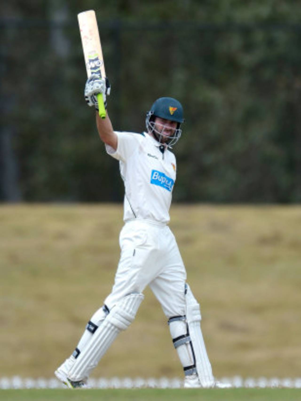 Alex Doolan celebrates his century, NSW v Tasmania, Sheffield Shield, Sheffield Shield, 4th day, November 2, 2013