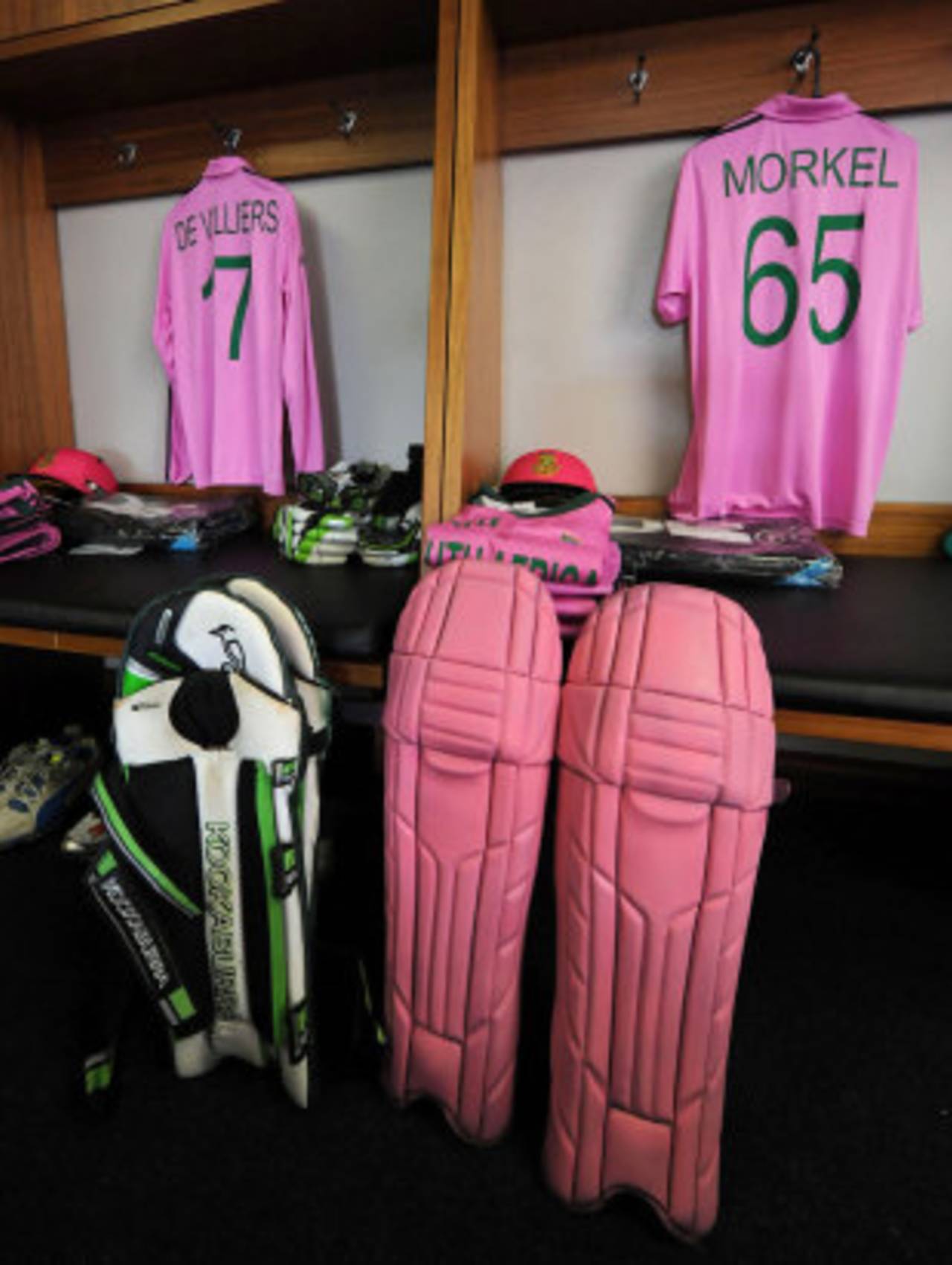 South Africa sported pink kits to raise awareness for breast cancer, South Africa v India, 1st ODI, Johannesburg, December 5, 2013