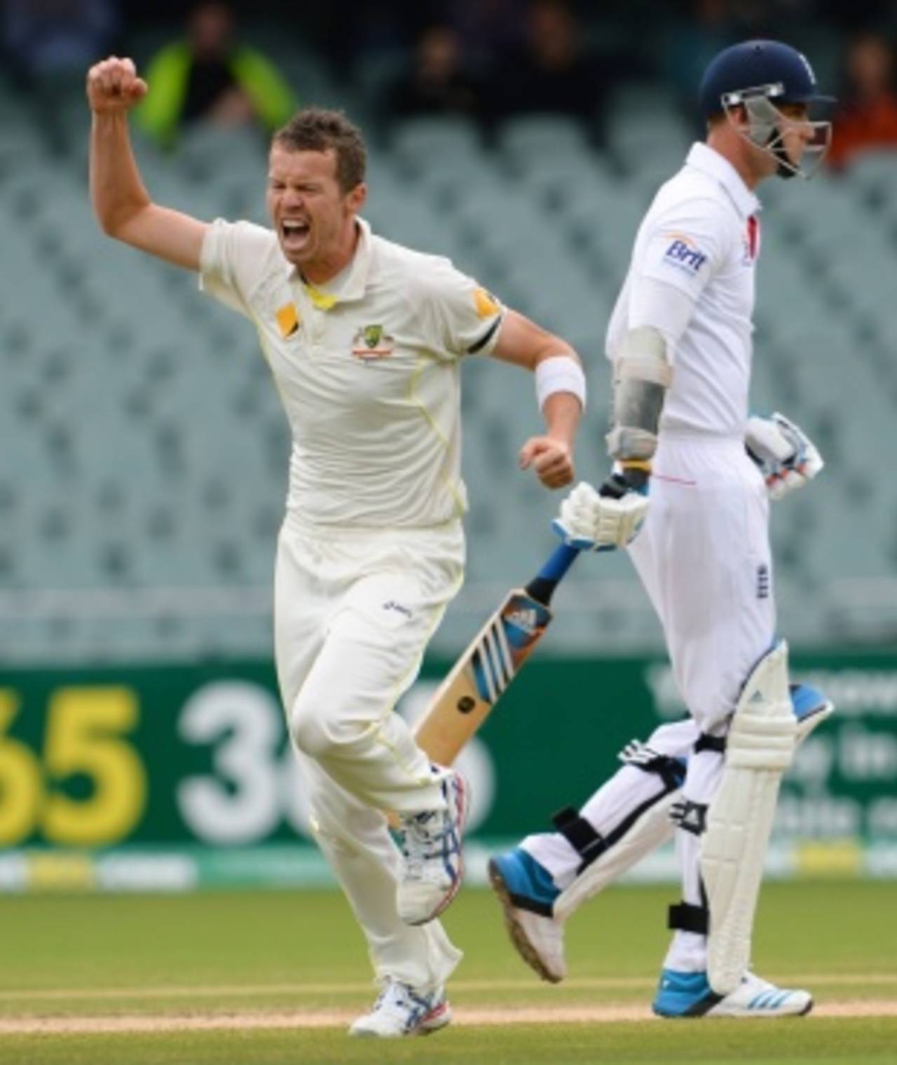 Peter Siddle celebrates after removing Stuart Broad, Australia v England, 2nd Test, Adelaide, 5th day, December 9, 2013