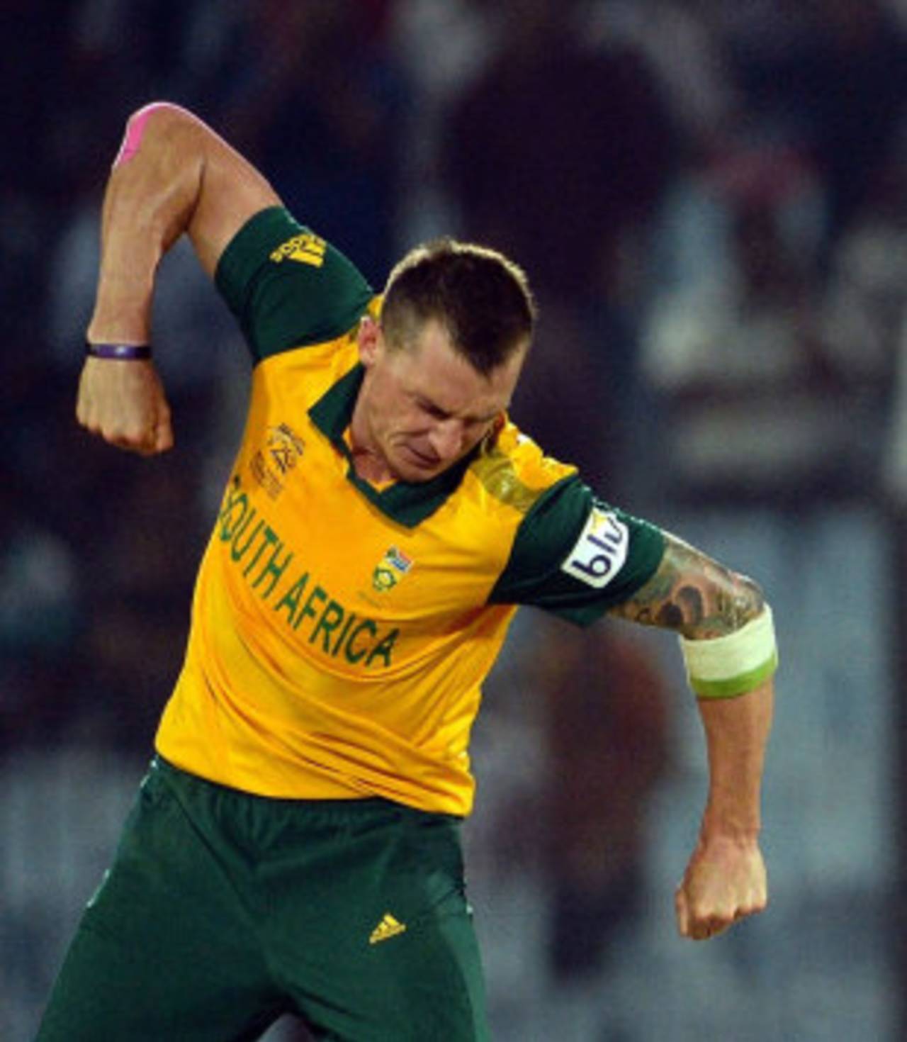 Dale Steyn is elated after dismissing Kane Williamson, New Zealand v South Africa, World T20, Group 1, Chittagong, March 24, 2014