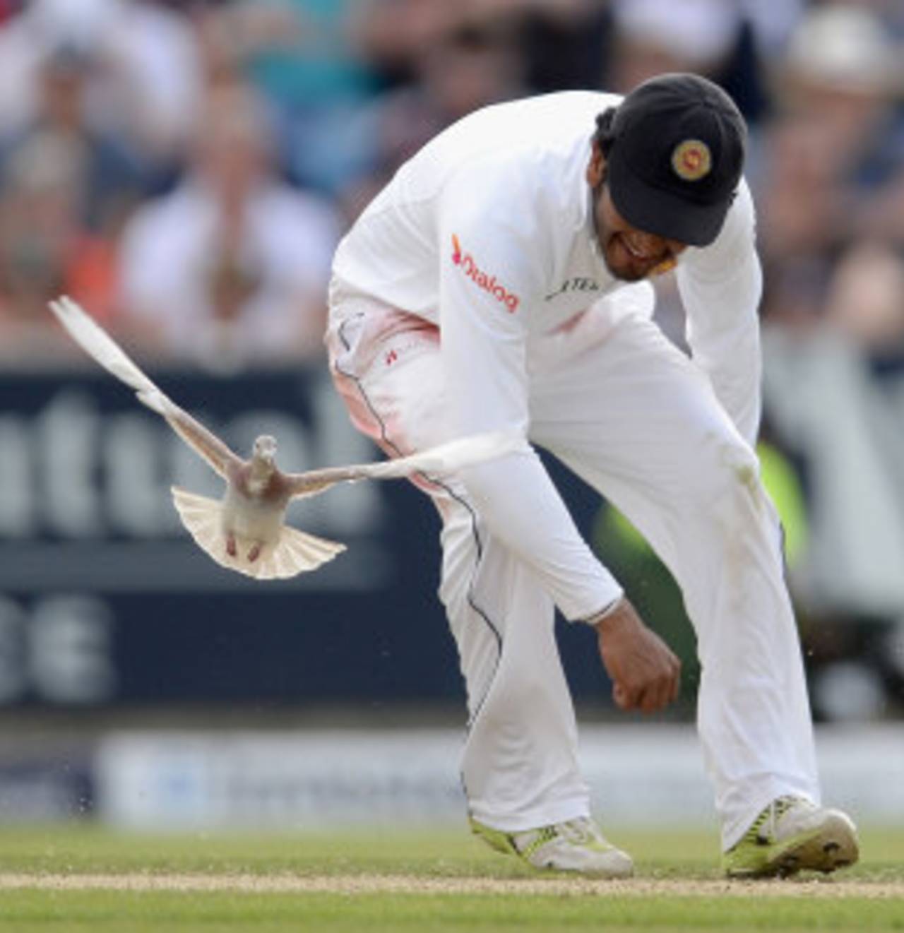 Dimuth Karunaratne scored 127 runs in four innings in England&nbsp;&nbsp;&bull;&nbsp;&nbsp;Getty Images