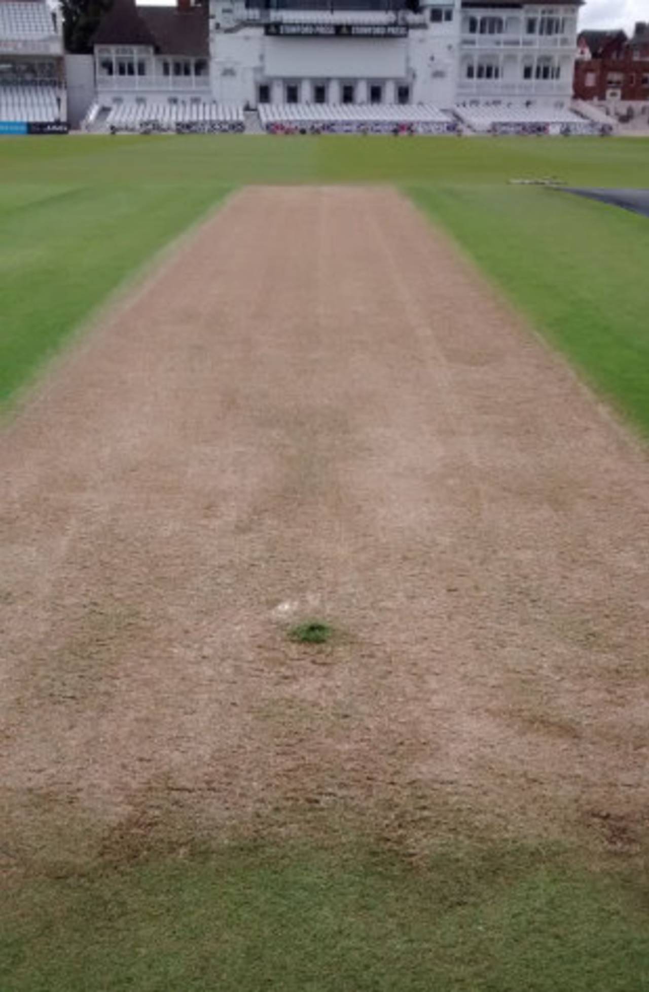 The Trent Bridge pitch is currently covered with a few millimetres of straw-coloured grass&nbsp;&nbsp;&bull;&nbsp;&nbsp;ESPNcricinfo Ltd/Sidharth Monga