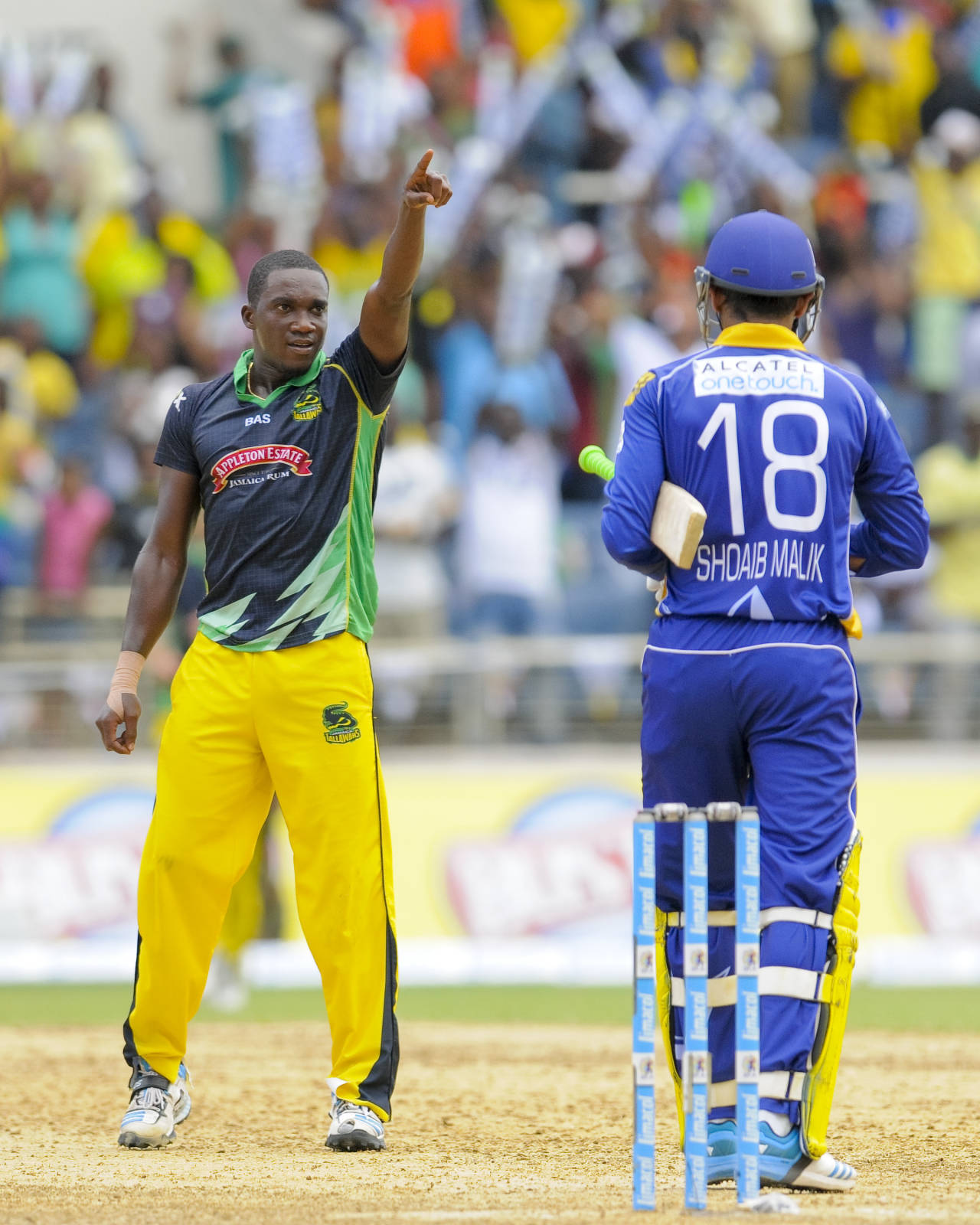 Jerome Taylor celebrates after the final ball, Jamaica Tallawahs v Barbados Tridents, CPL 2014, Kingston, August 3, 2014
