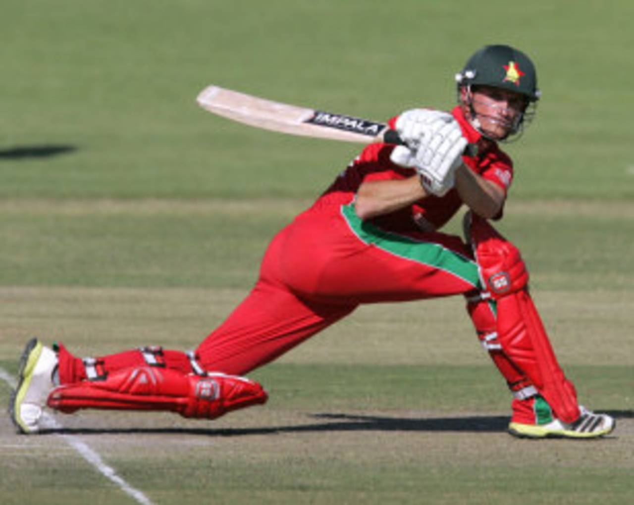 Sean Williams sweeps, Zimbabwe v South Africa, 1st ODI, Bulawayo, August 17, 2014