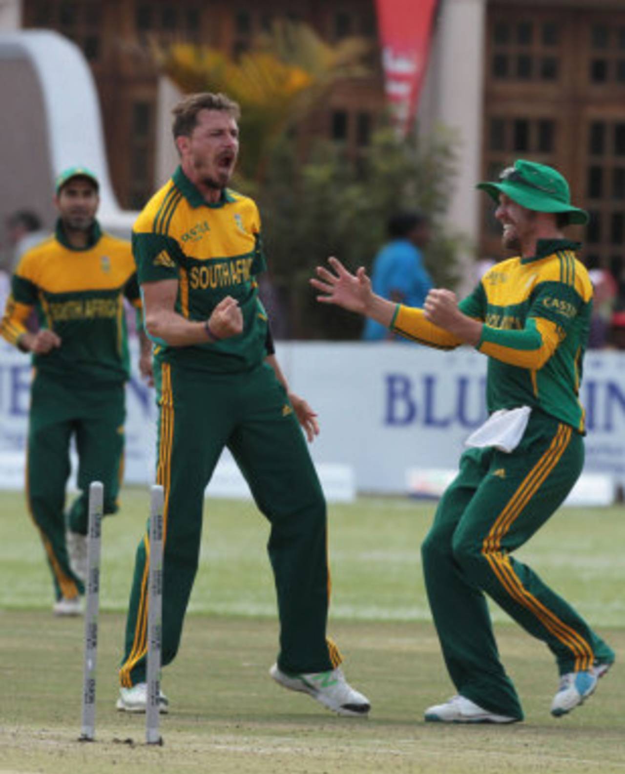 Dale Steyn exults after removing Aaron Finch's middle stump, Australia v South Africa, tri-series final, Harare, September 6, 2014
