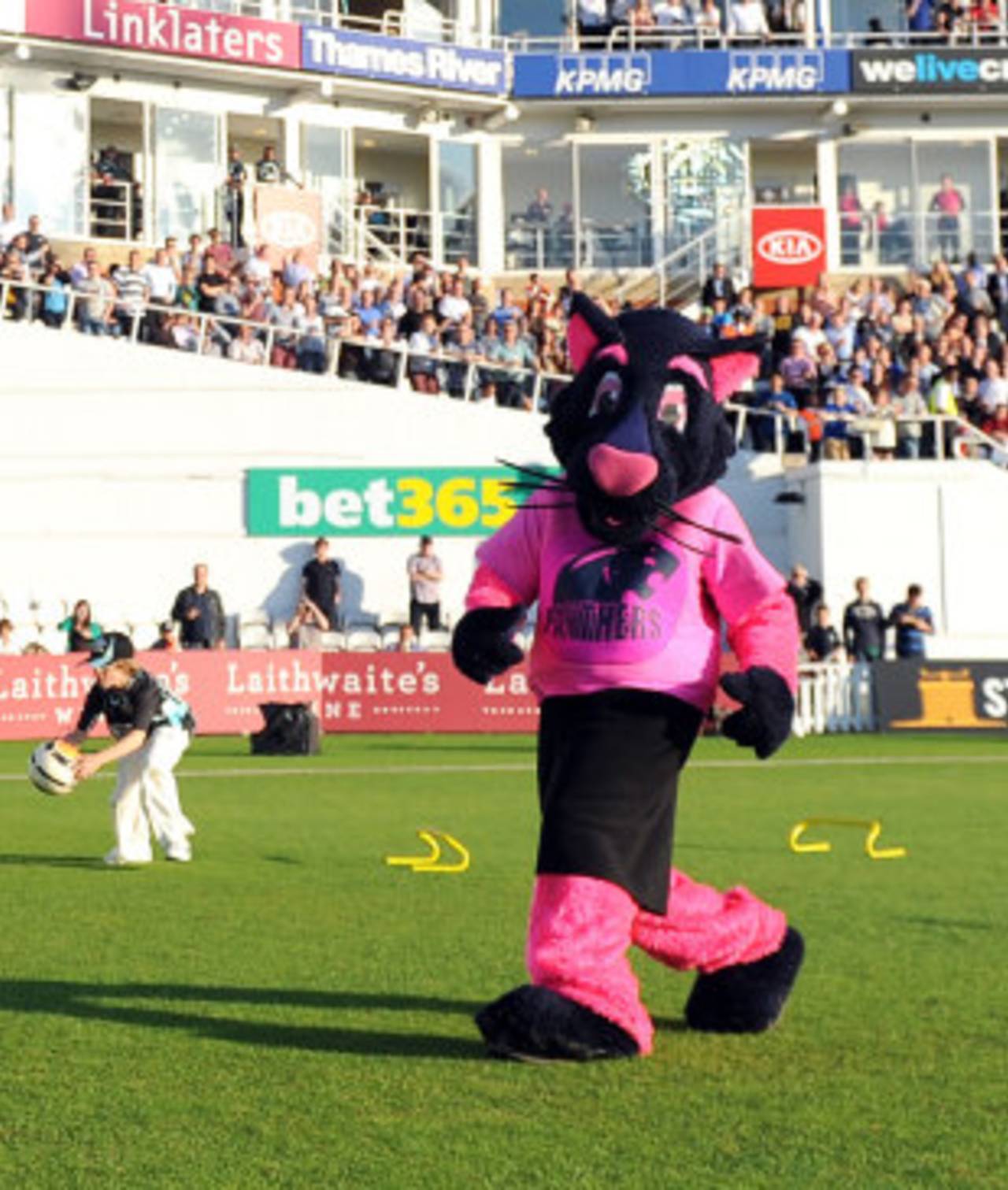 Fear not, the Middlesex mascot - Pinky the Panther - survives&nbsp;&nbsp;&bull;&nbsp;&nbsp;PA Photos