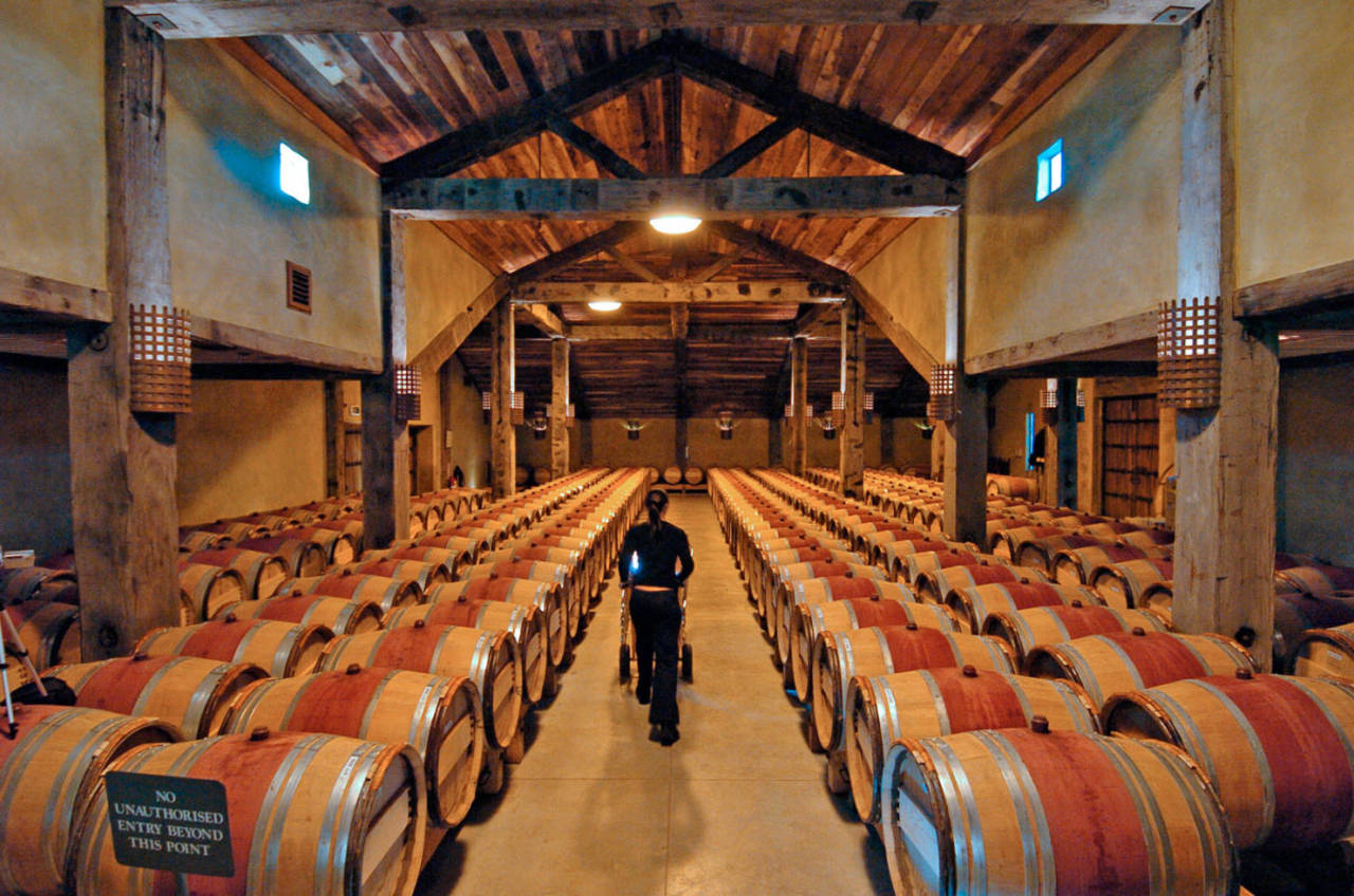 The Tom McDonald wine cellar, Church Road Winery, Napier, April 24, 2008