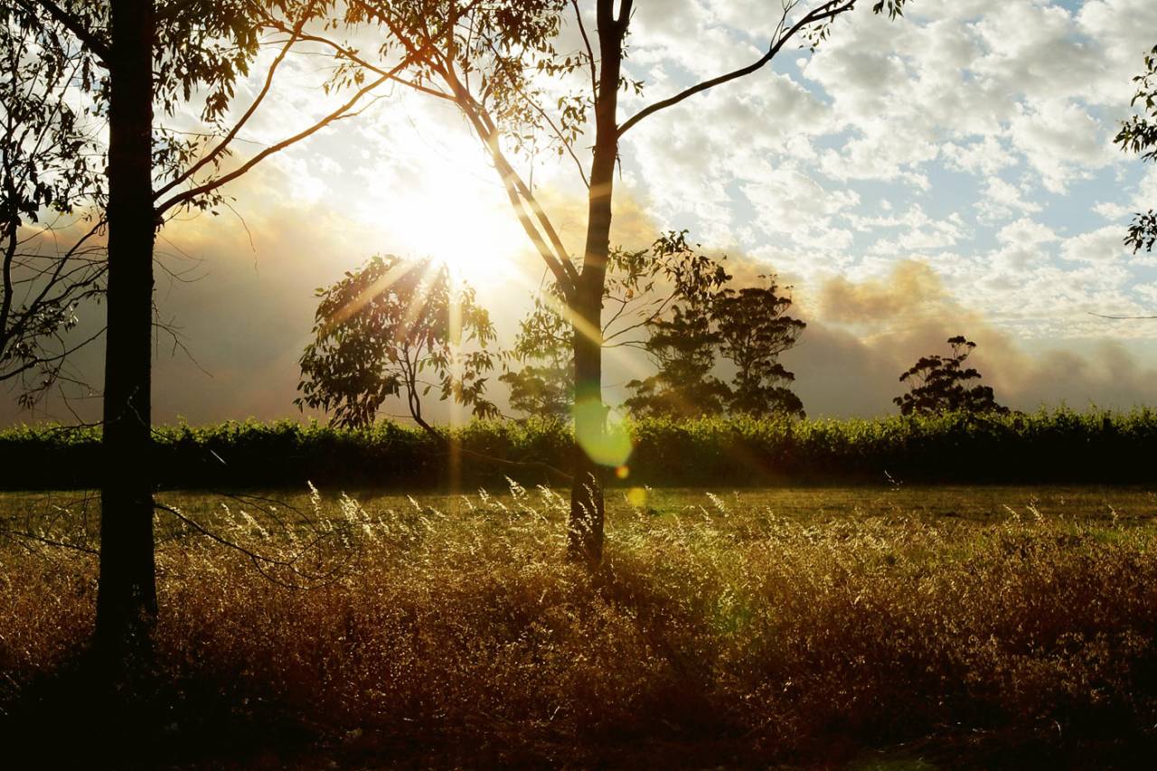 The Bussell Highway in Witchcliff in the Margaret River Region, November 24, 2011