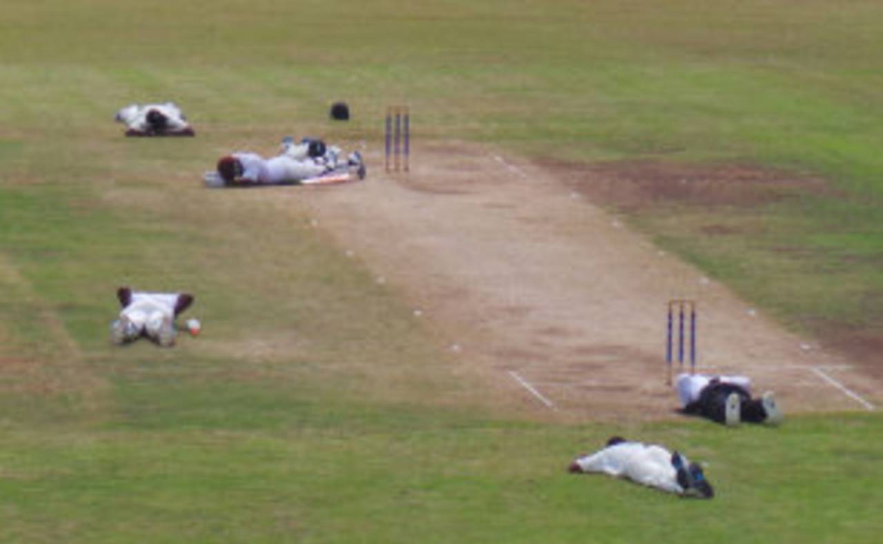 Bees caused a brief stoppage of play on the third day in St Vincent&nbsp;&nbsp;&bull;&nbsp;&nbsp;WICB