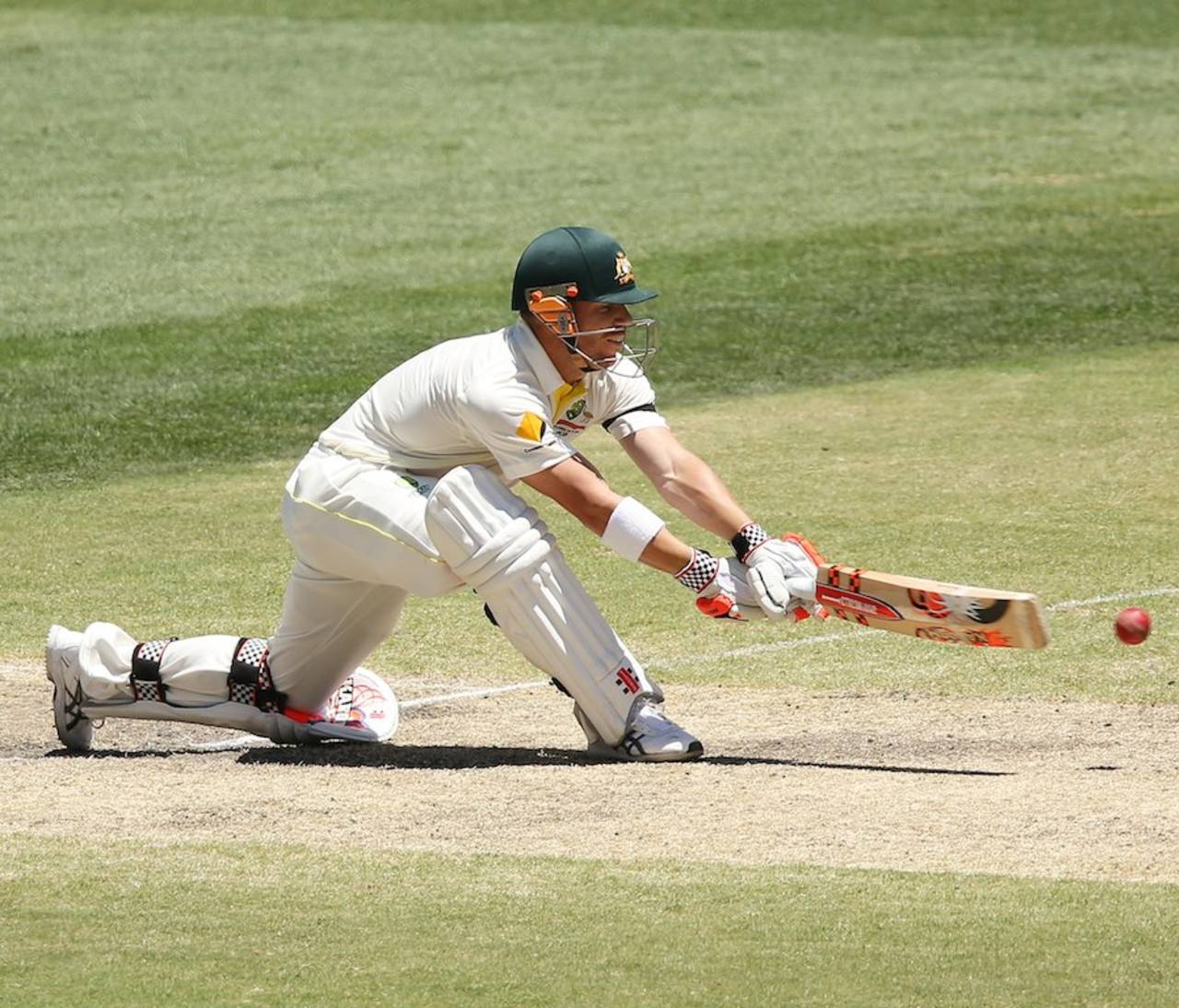 David Warner plays the reverse sweep, Australia v India, 1st Test, Adelaide, 4th day, December 12, 2014