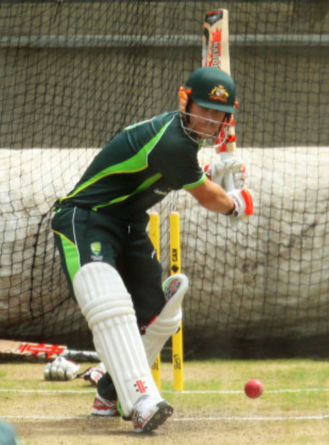 David Warner tested out his sore thumb in the nets, Melbourne, December 24, 2016